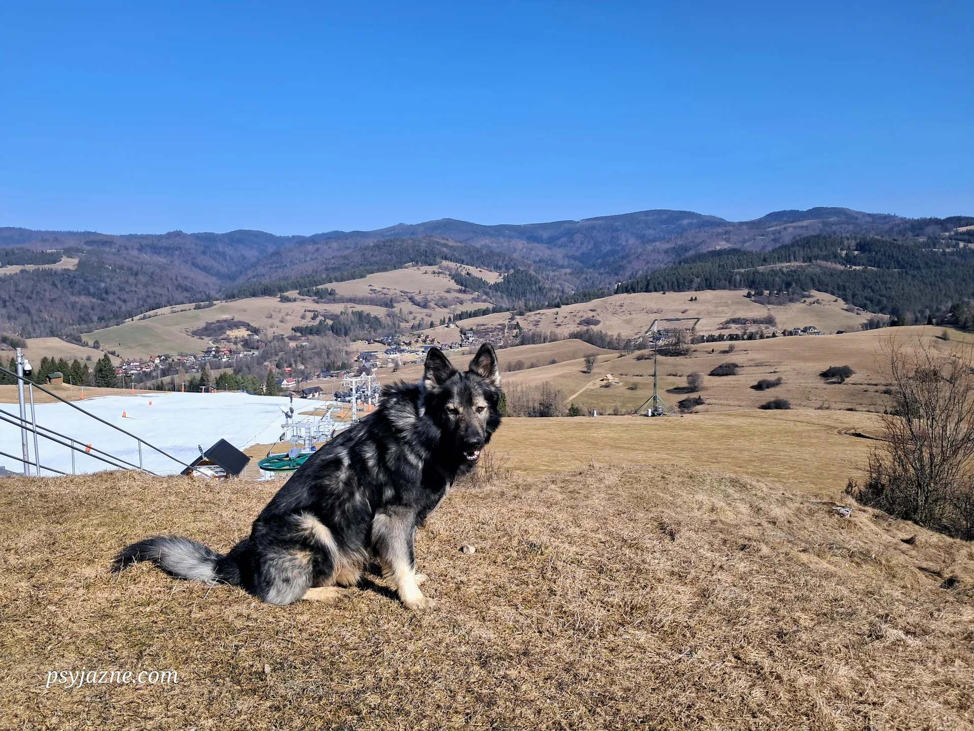 Pieniny z psem