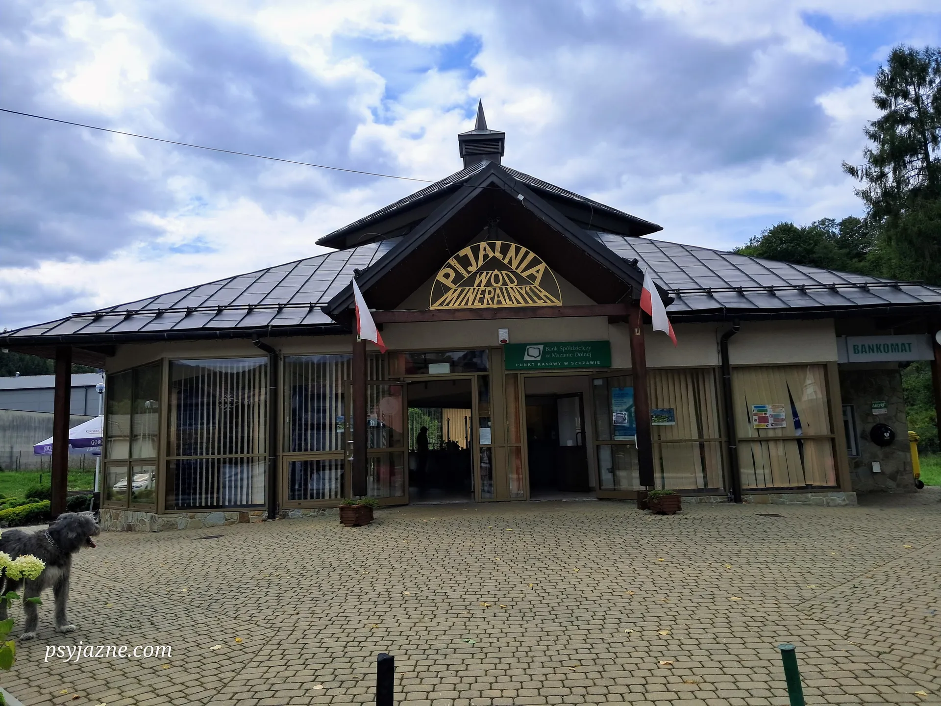 Pijalnia Wód Mineralnych w Szczawie