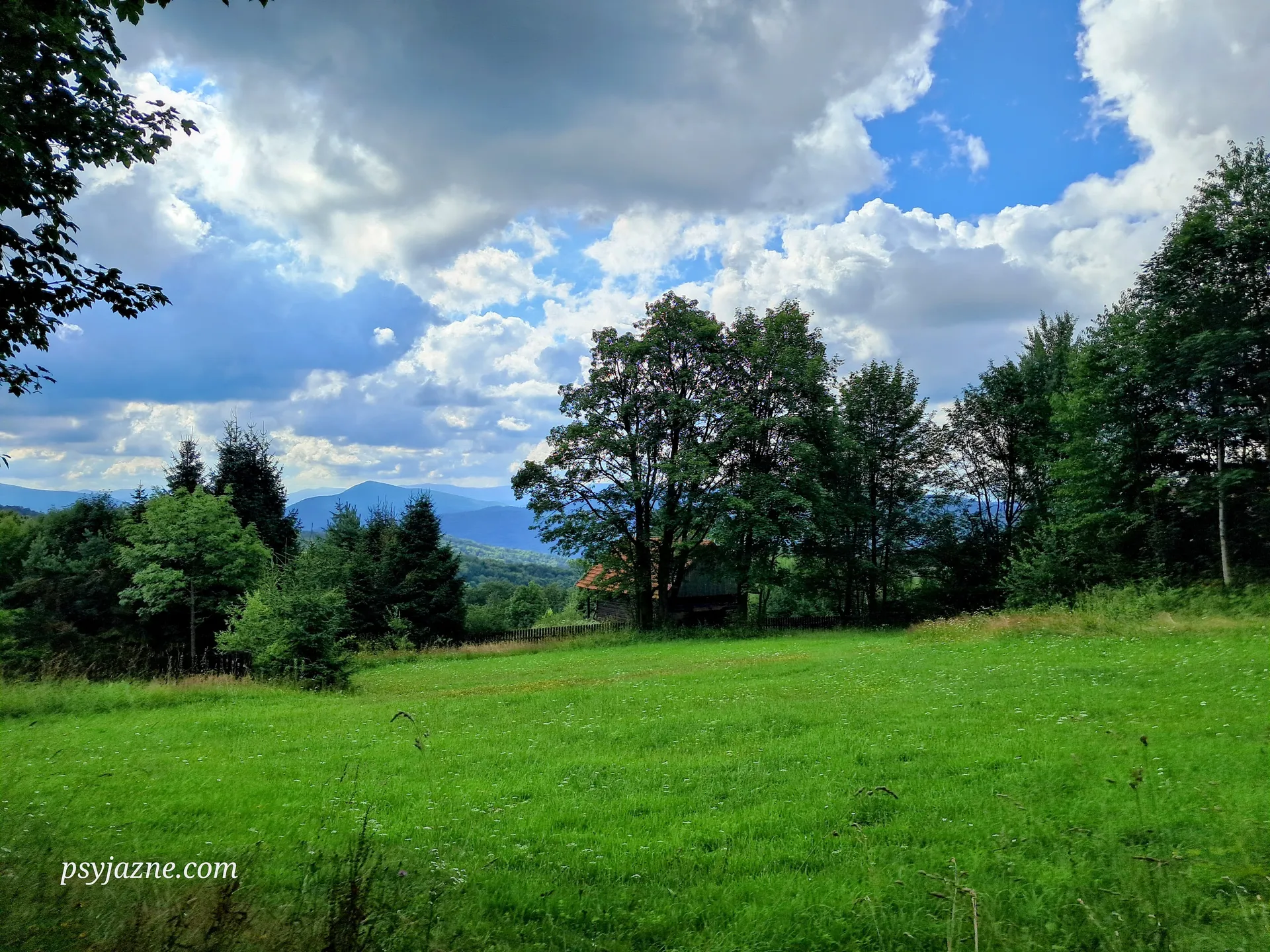 Pod Gorylką widok