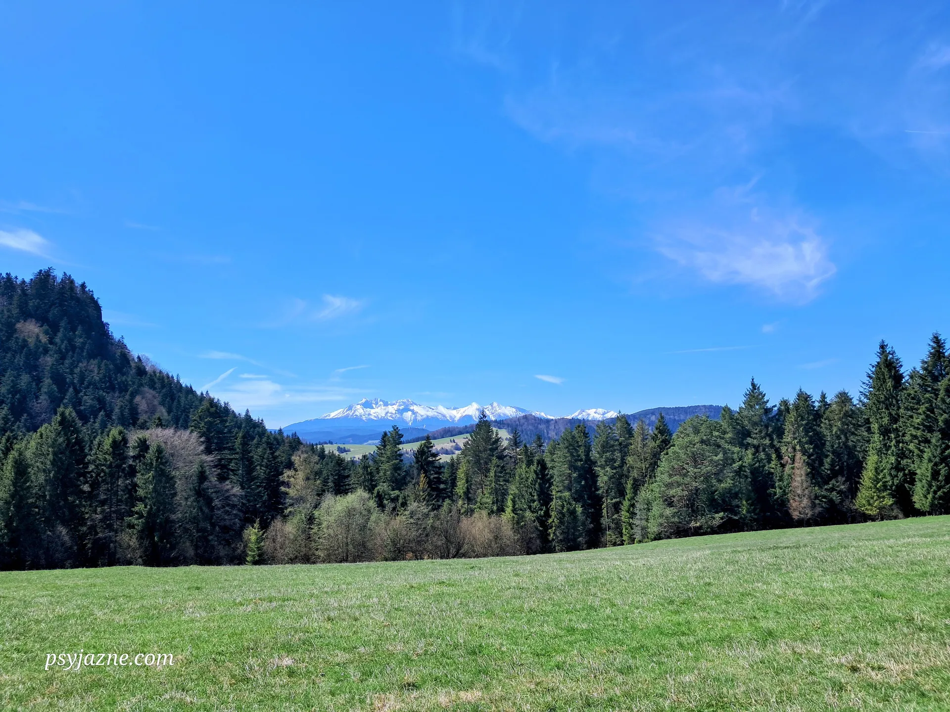 Pod Huściawą, widok na Tatry