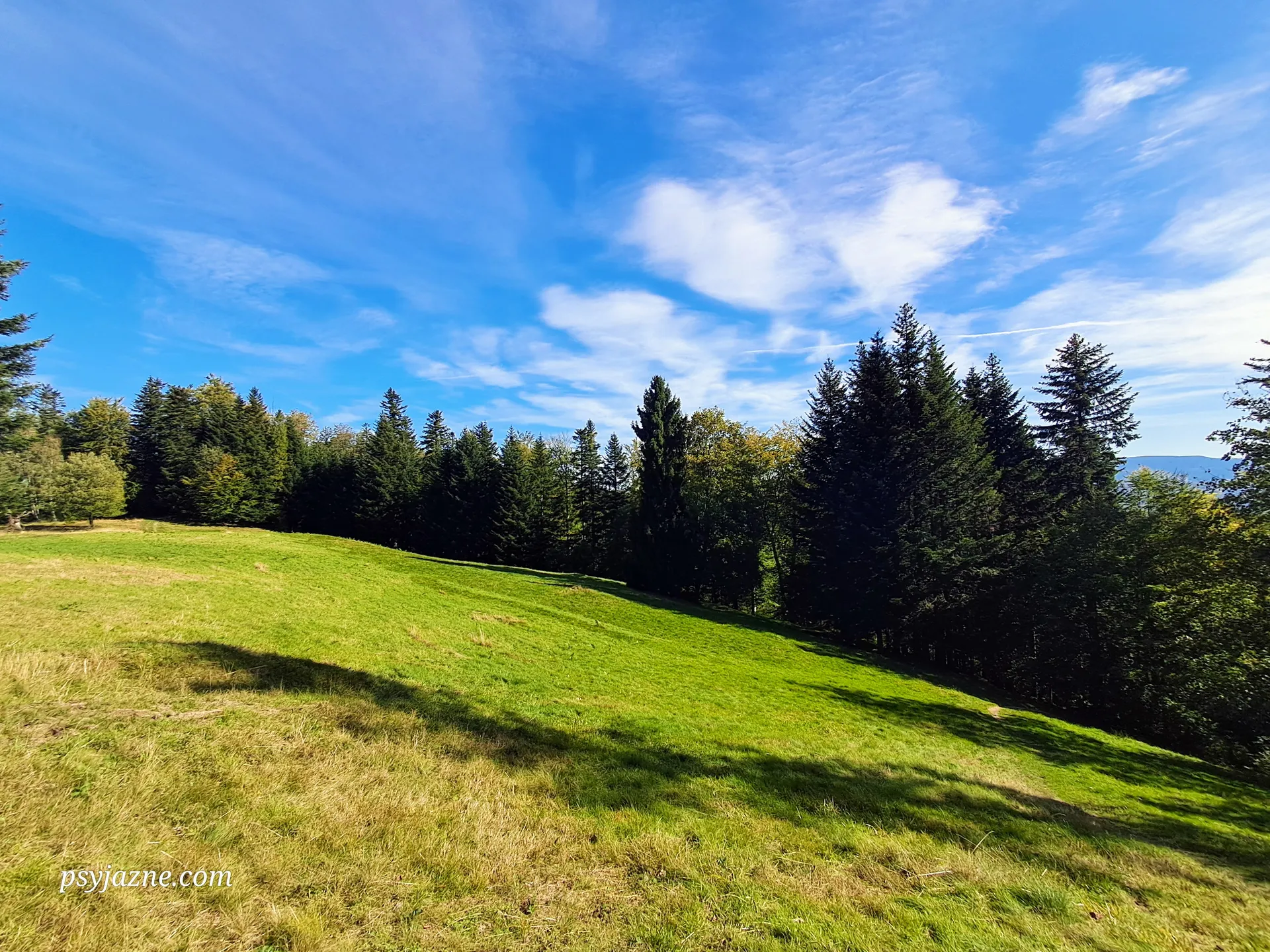 Polana
