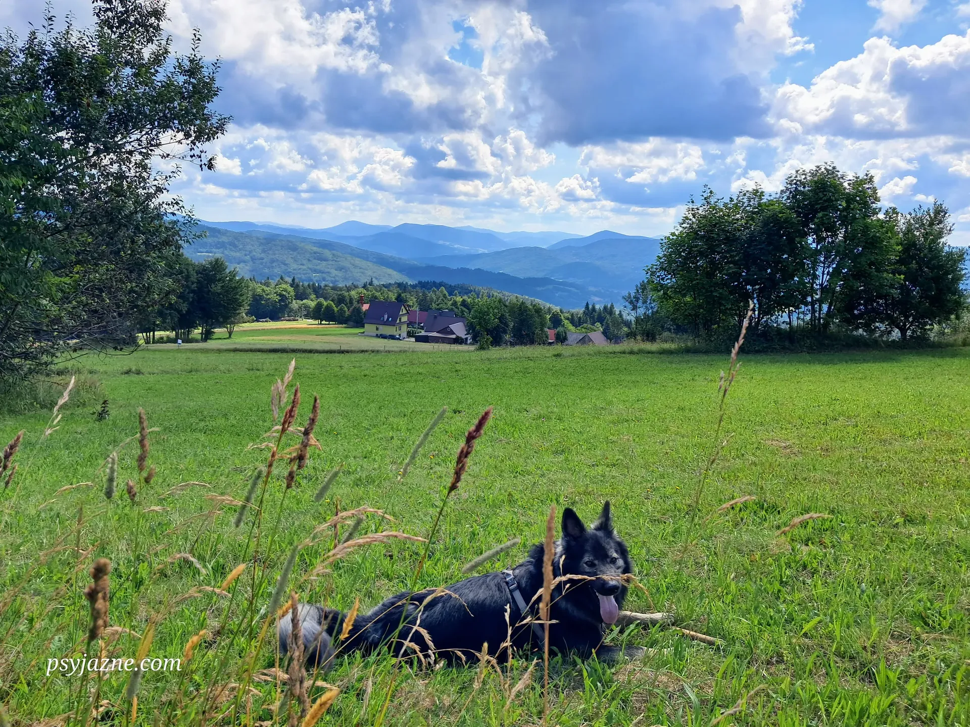 Polana Bieńkówka, Beskid Makowski