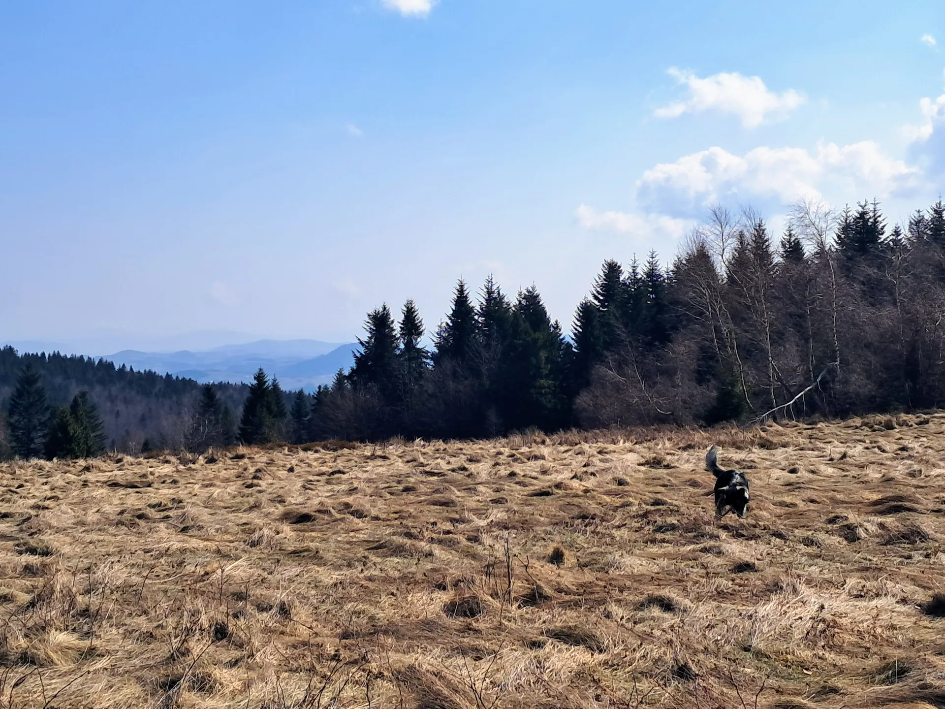 Polana Jaworze, Łopień