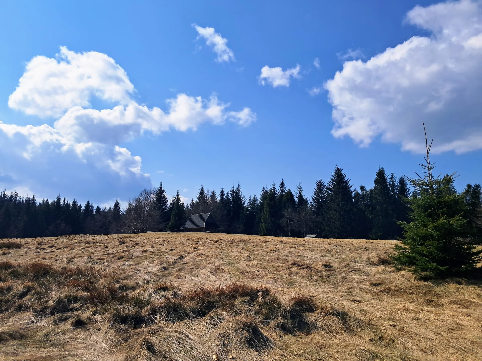 Polana Jaworze, Łopień