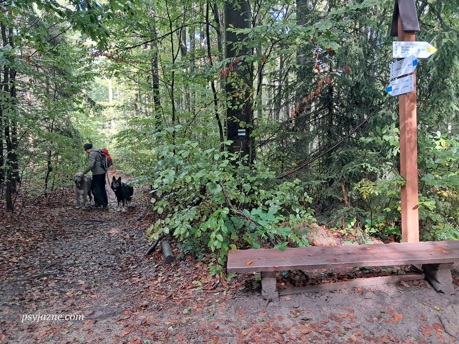 Polana Krawcowa - odejście szlaku