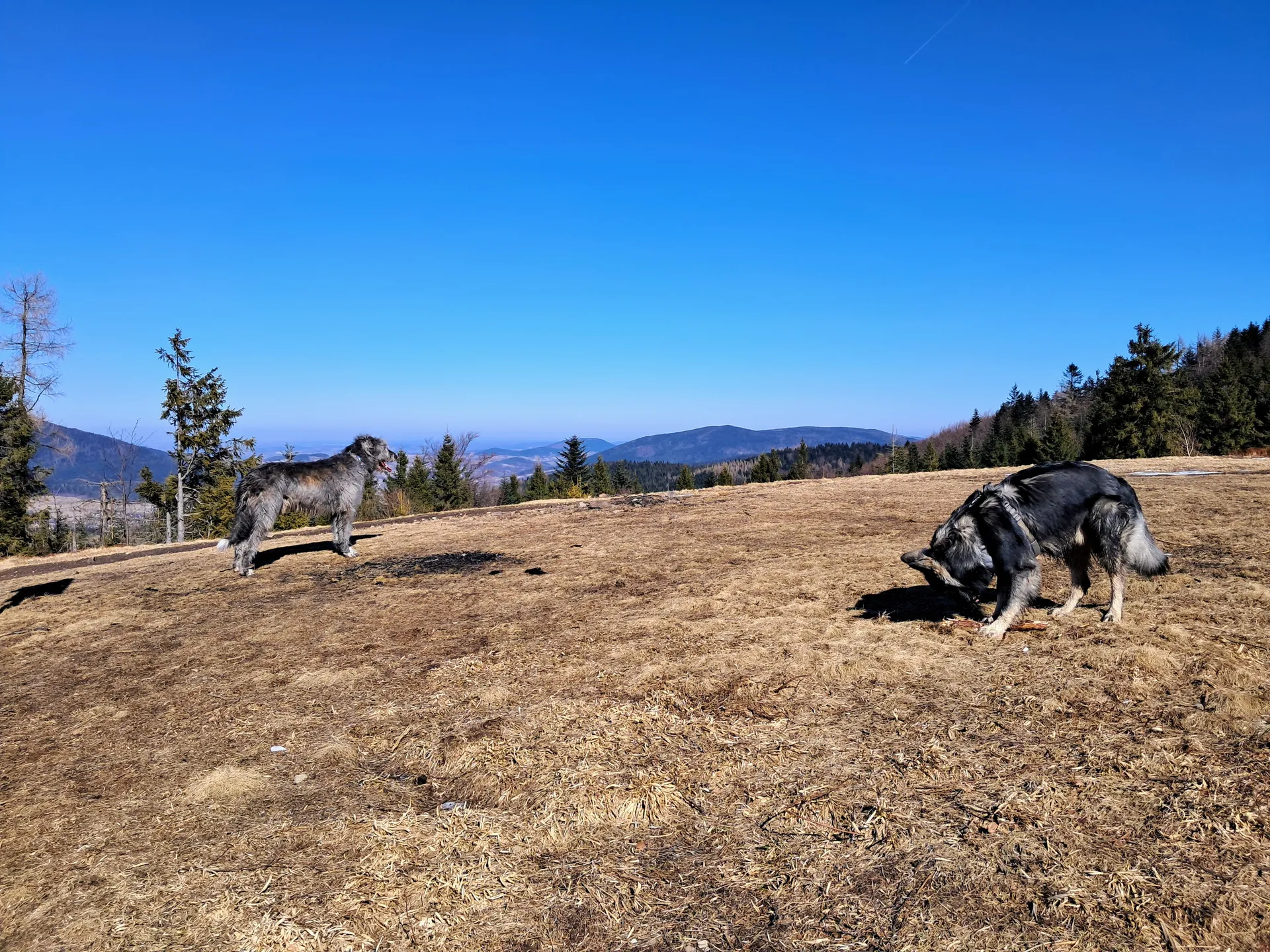Polana Łąki Beskid Wyspowy