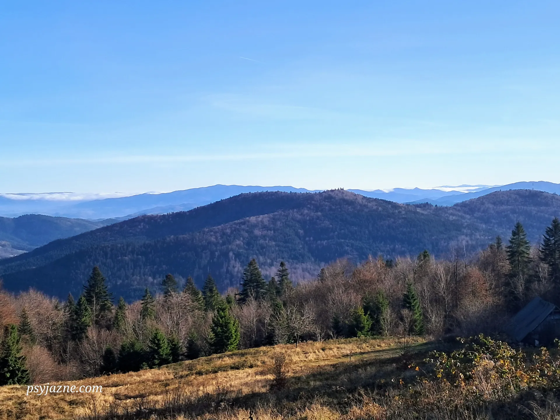 Polana Skalne, widok