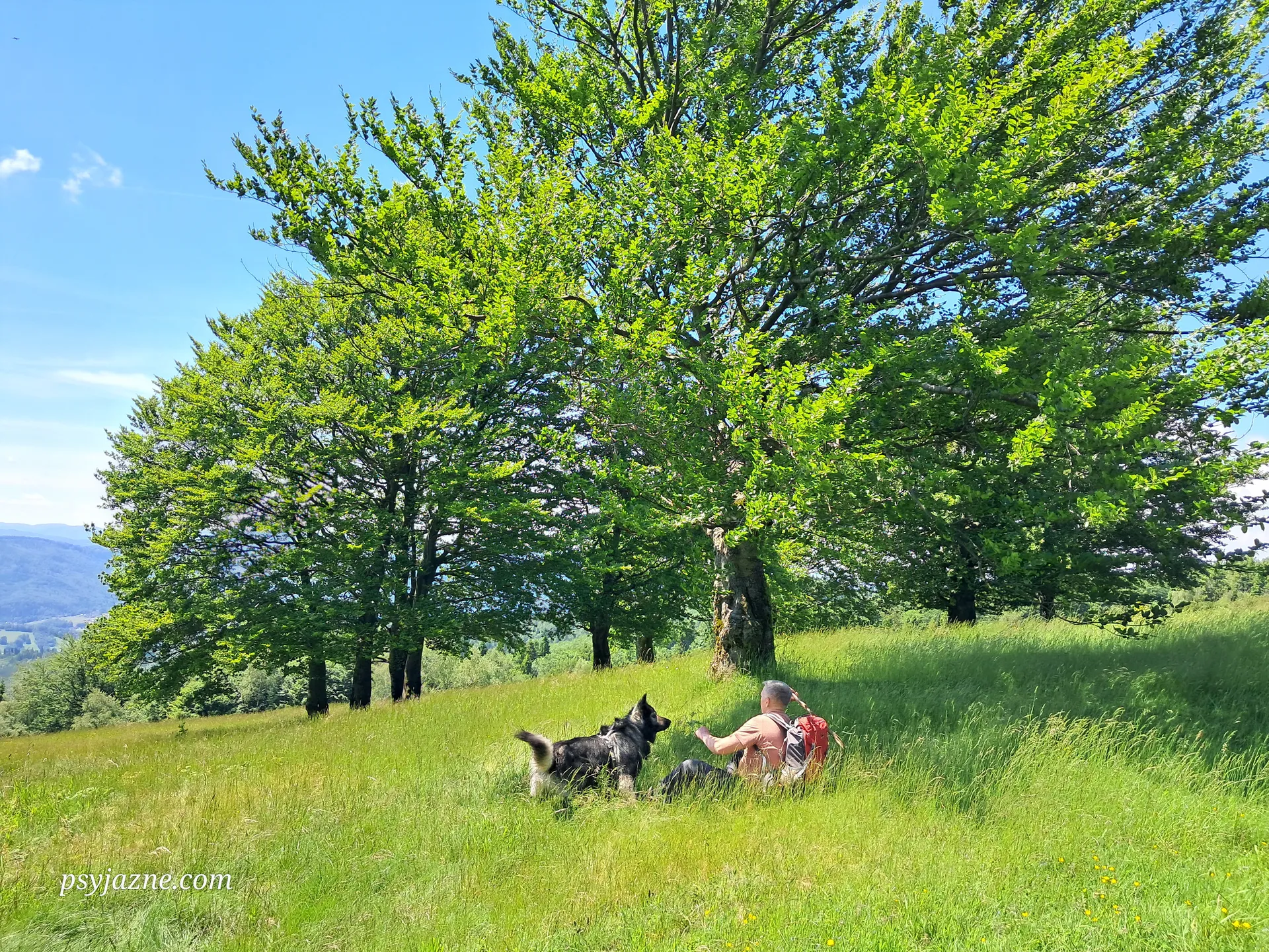 Polana Stołówka, Beskid Śląski
