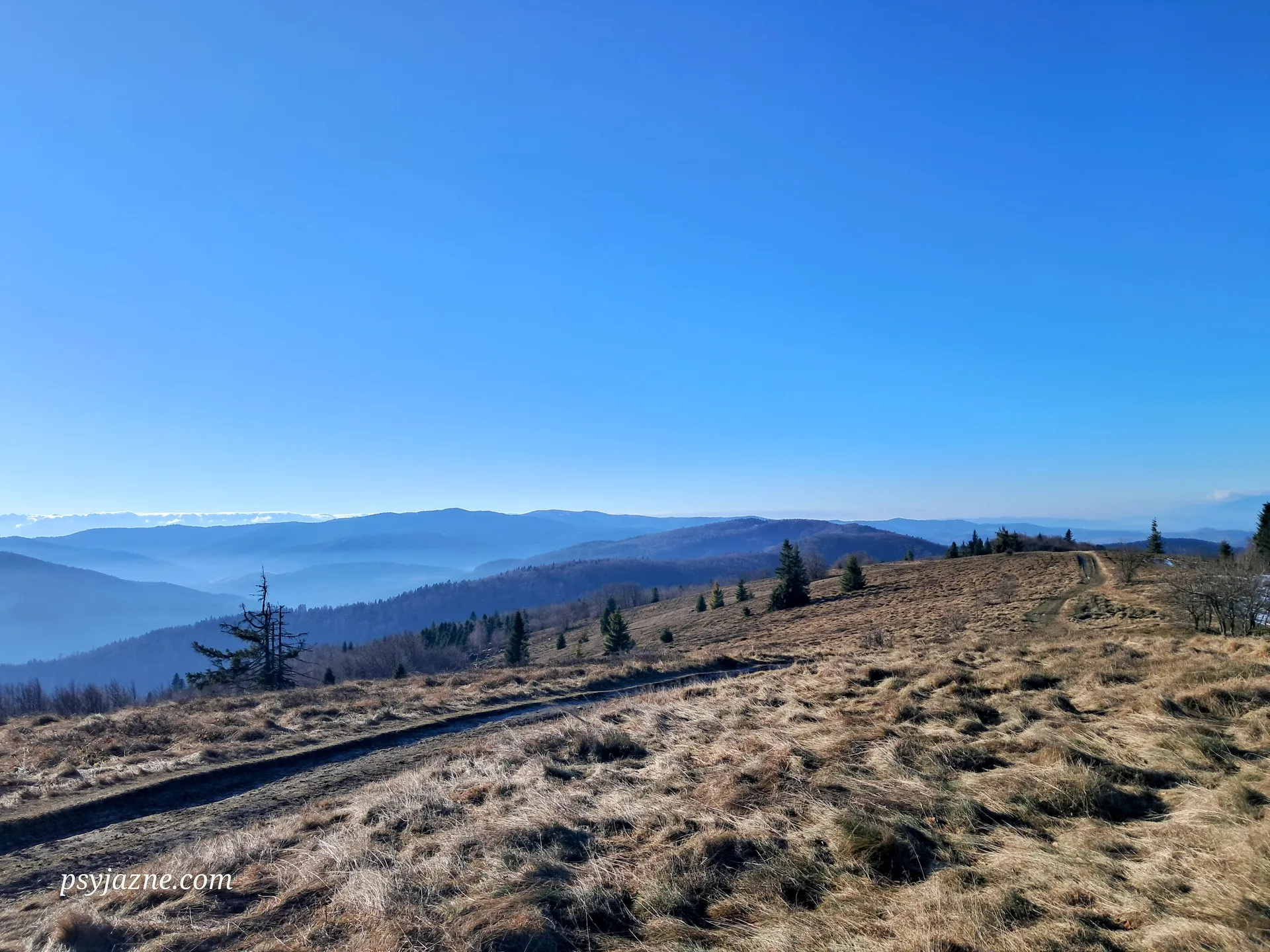 Panorama Polana Stumorgowa pod Mogielicą