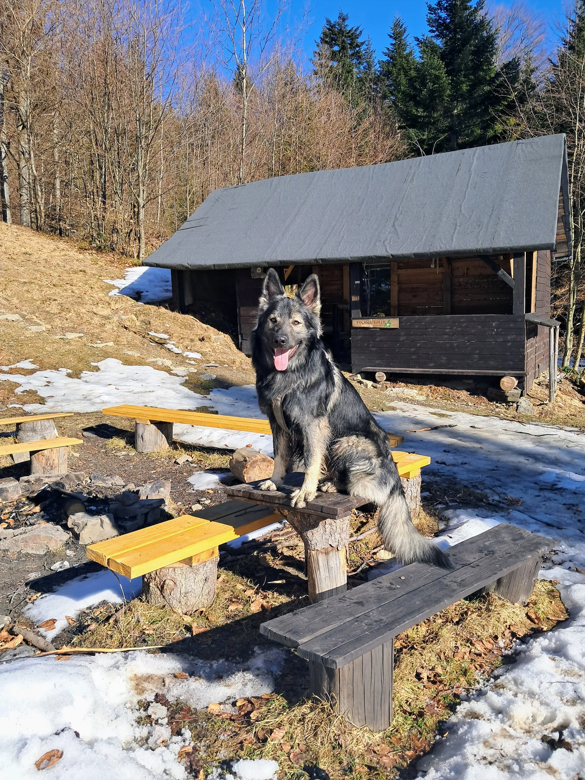 Polana Wały baza namiotowa