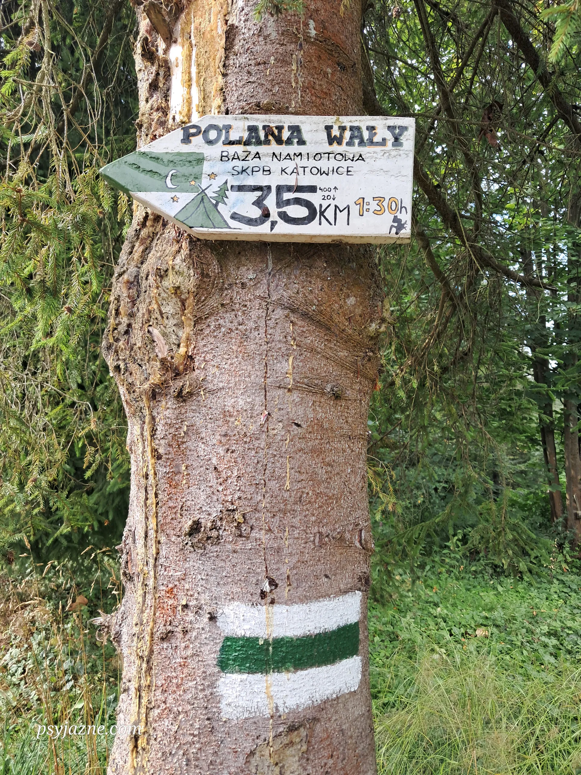 Szlak na Polanę Wały