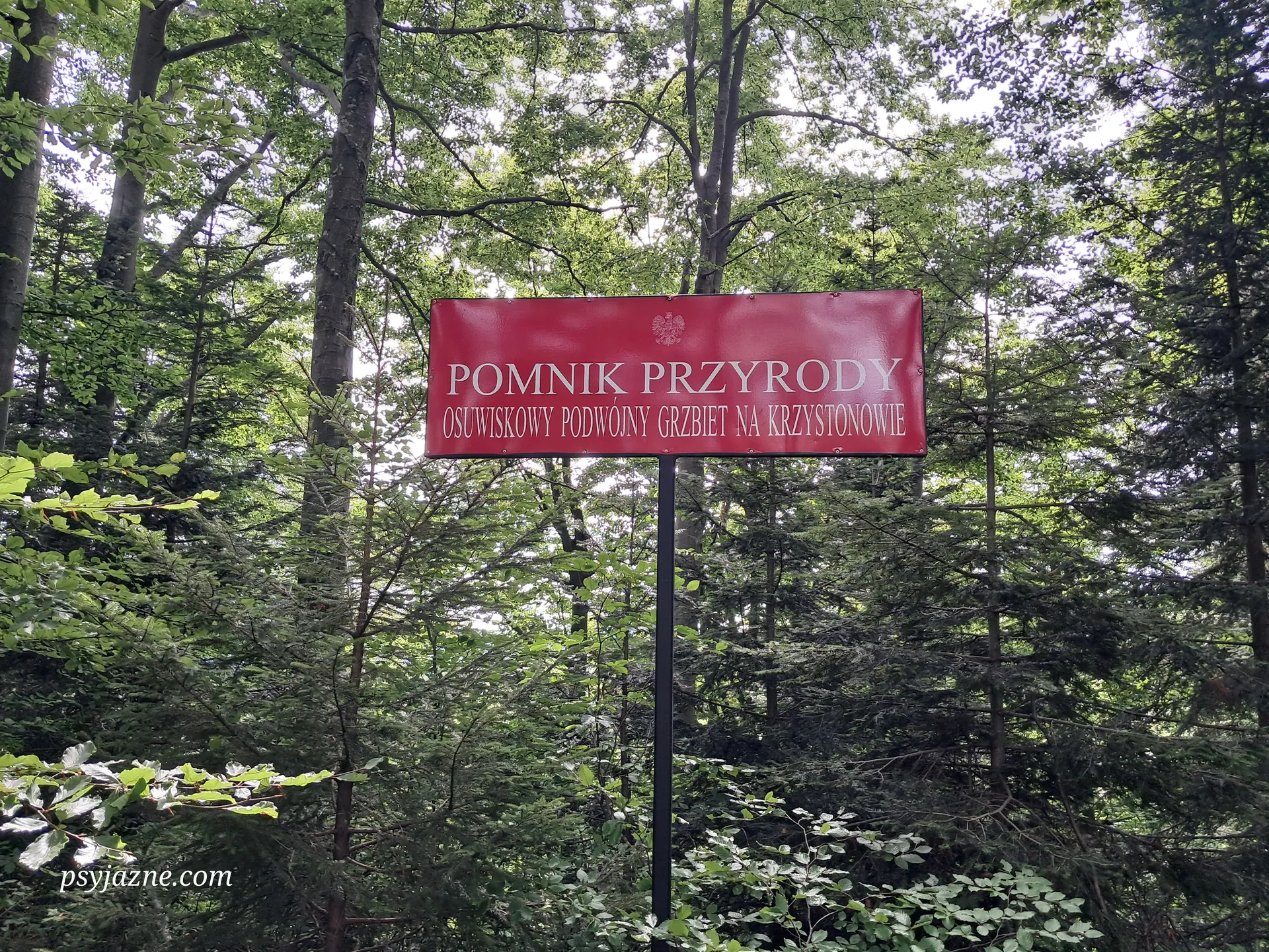 Pomnik przyrody