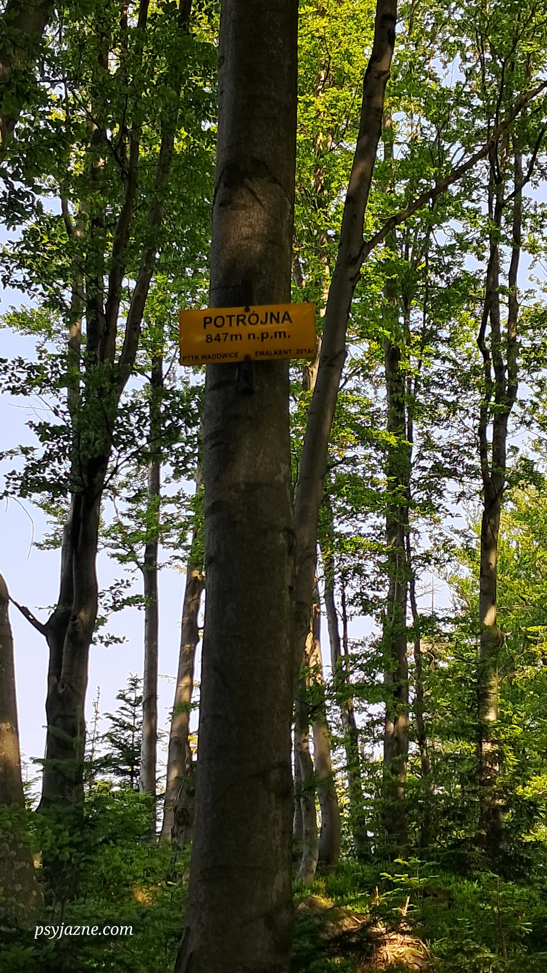 Potrójna, Mały Szlak Beskidzki 