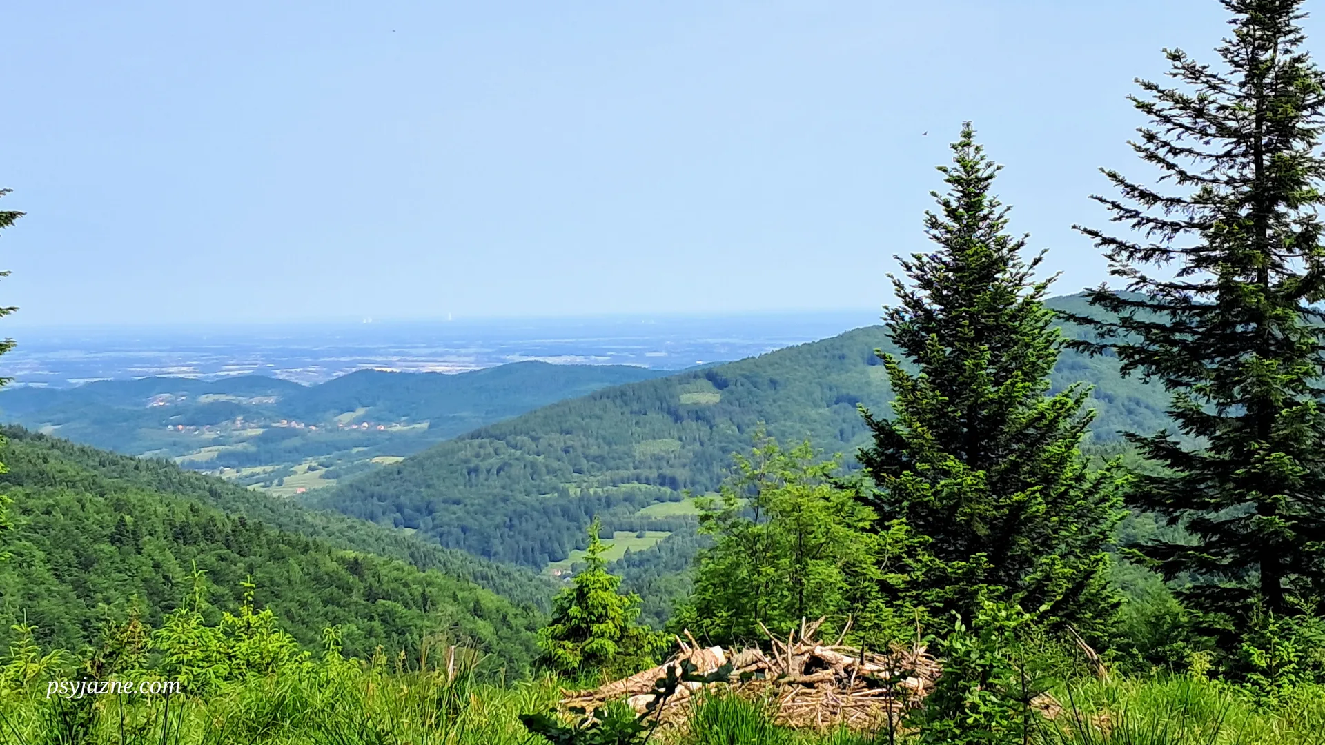 Punkt widokowy za Potrójna, Beskid Mały