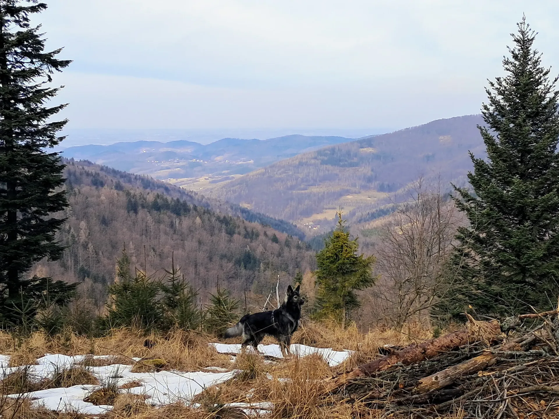 Przedwiosenny Beskid Mały