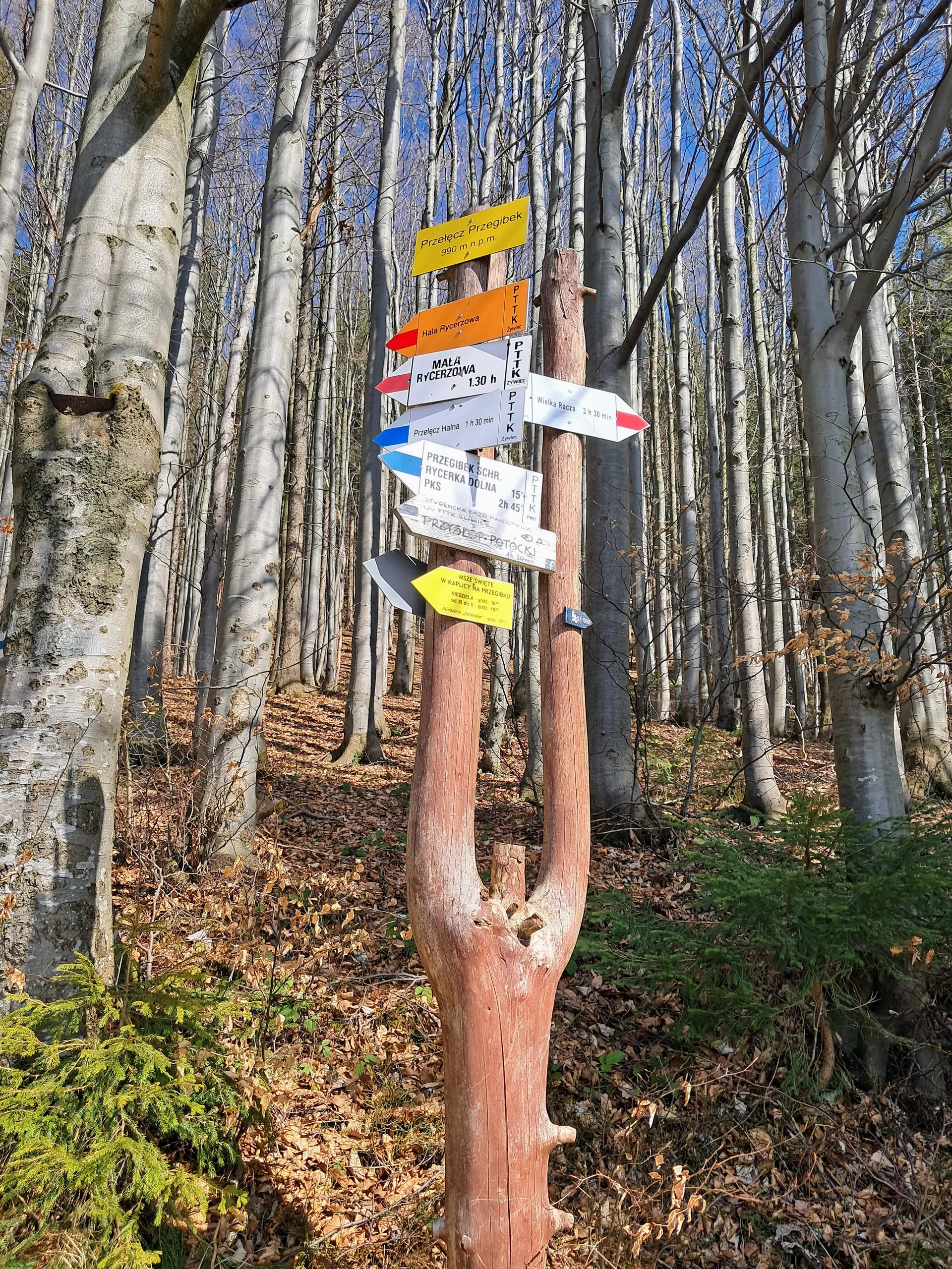 Przegibek