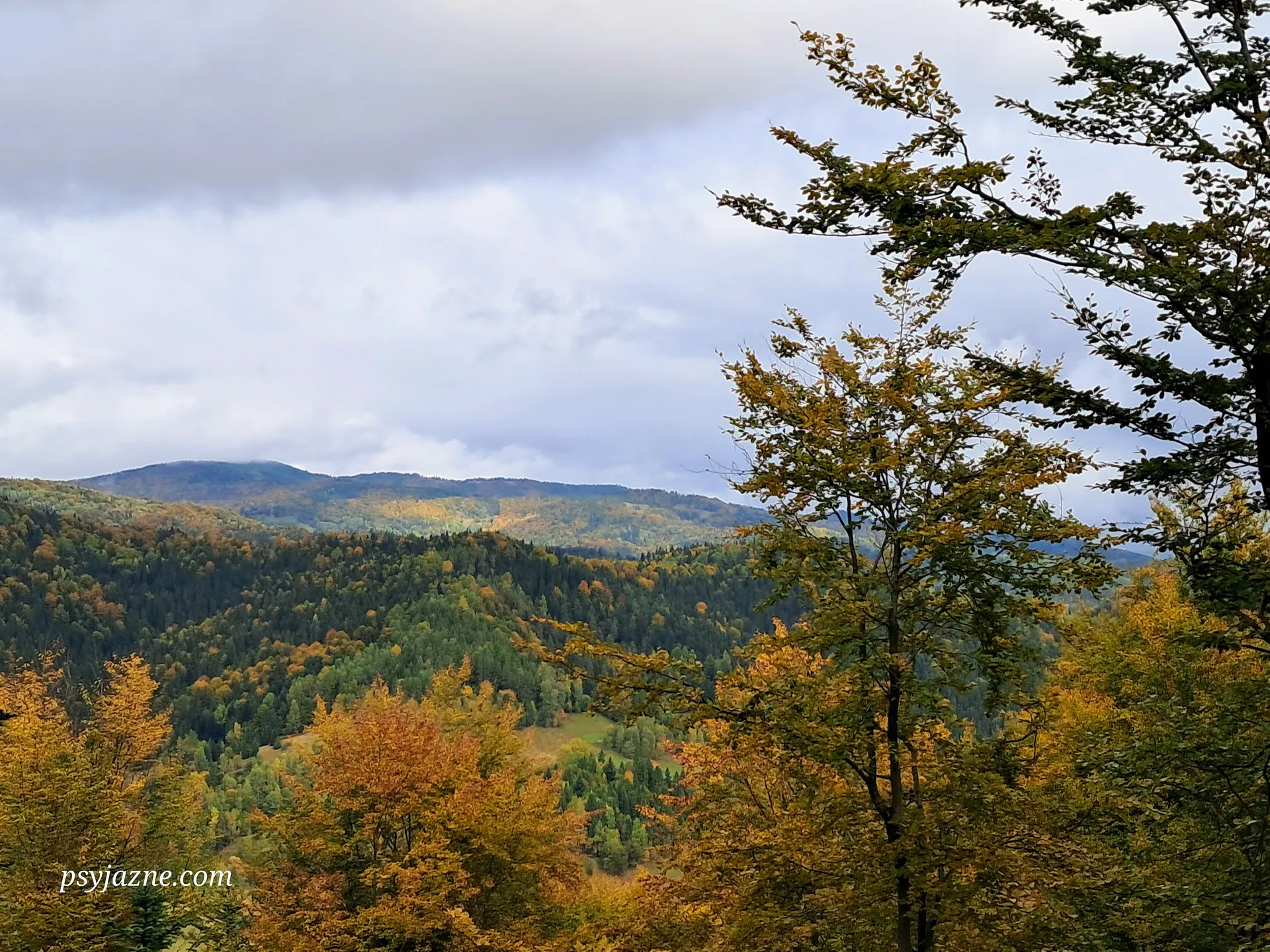 Przełęcz Knurowska