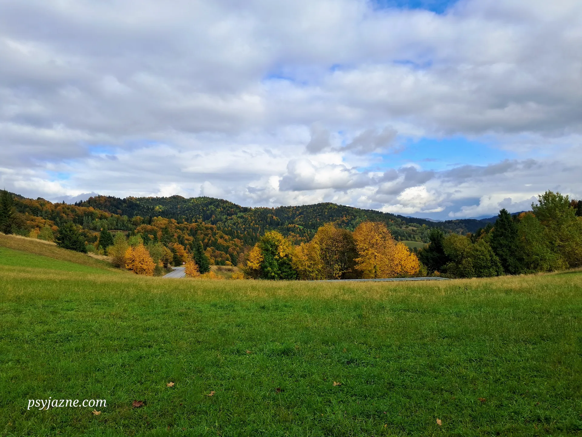 Przełęcz Knurowska