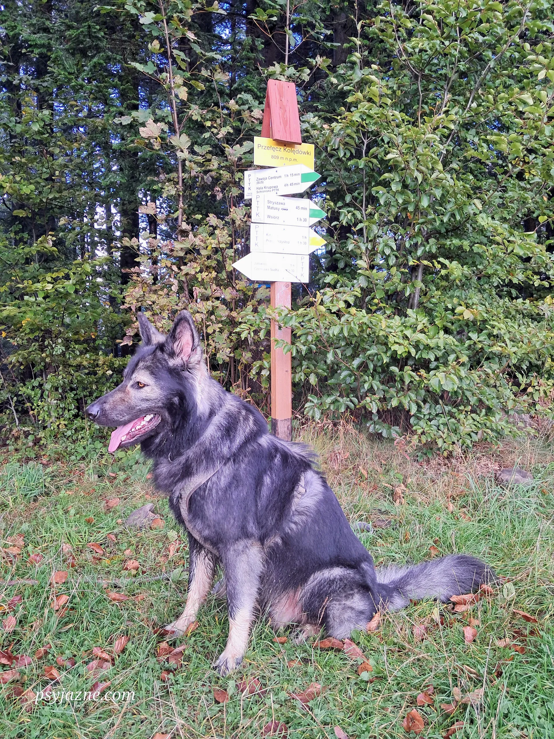 Przełęcz Kolędówki