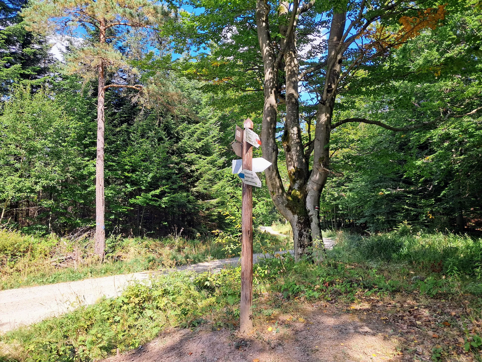 Przełęcz pod Mareszką, Beskid Niski