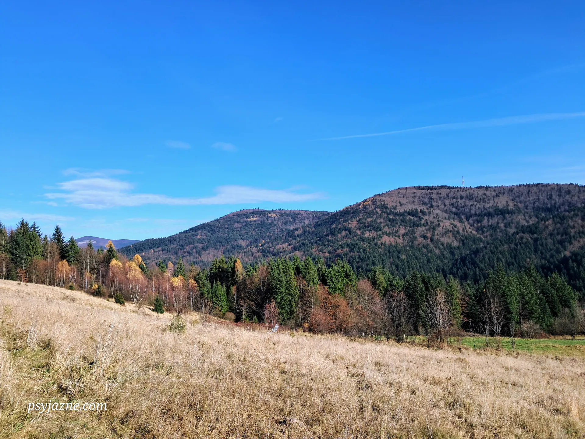 Widok z Przełęczy Przysłop