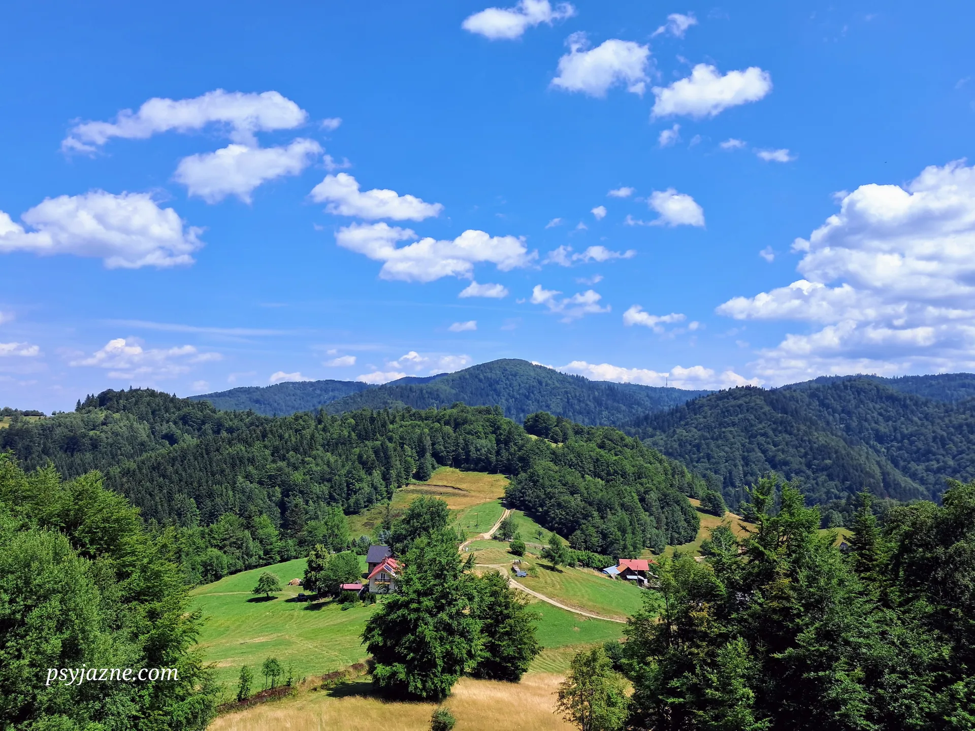Przełęcz Przysłop, Beskid Sądecki