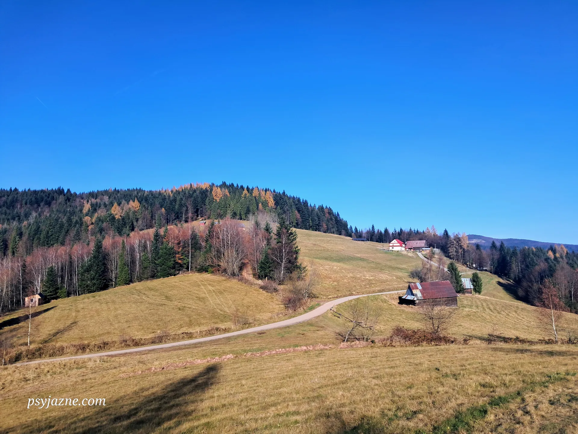 Widok na Przełęcz Przysłopek