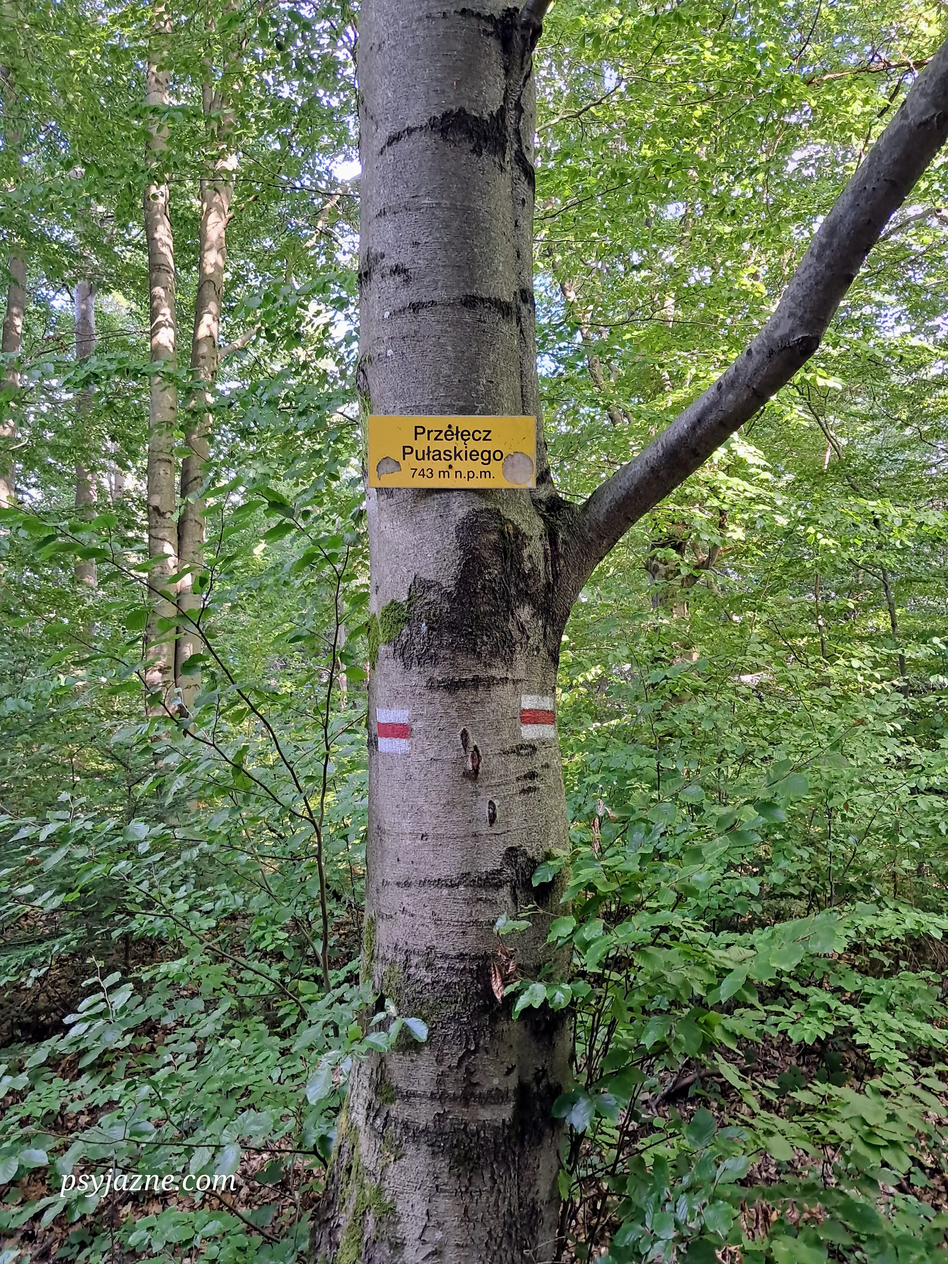 Przełęcz Pułaskiego w Beskidzie Niskim