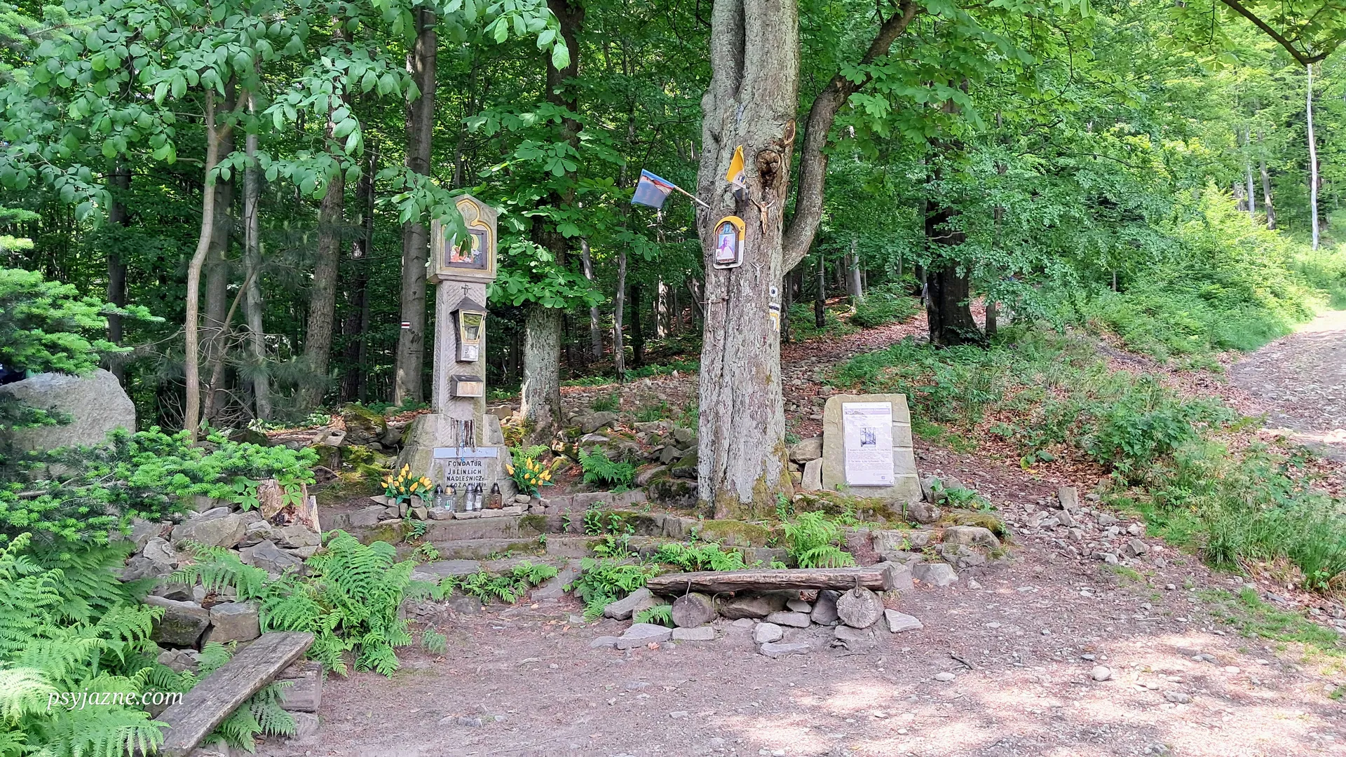 Przełęcz u Panienki