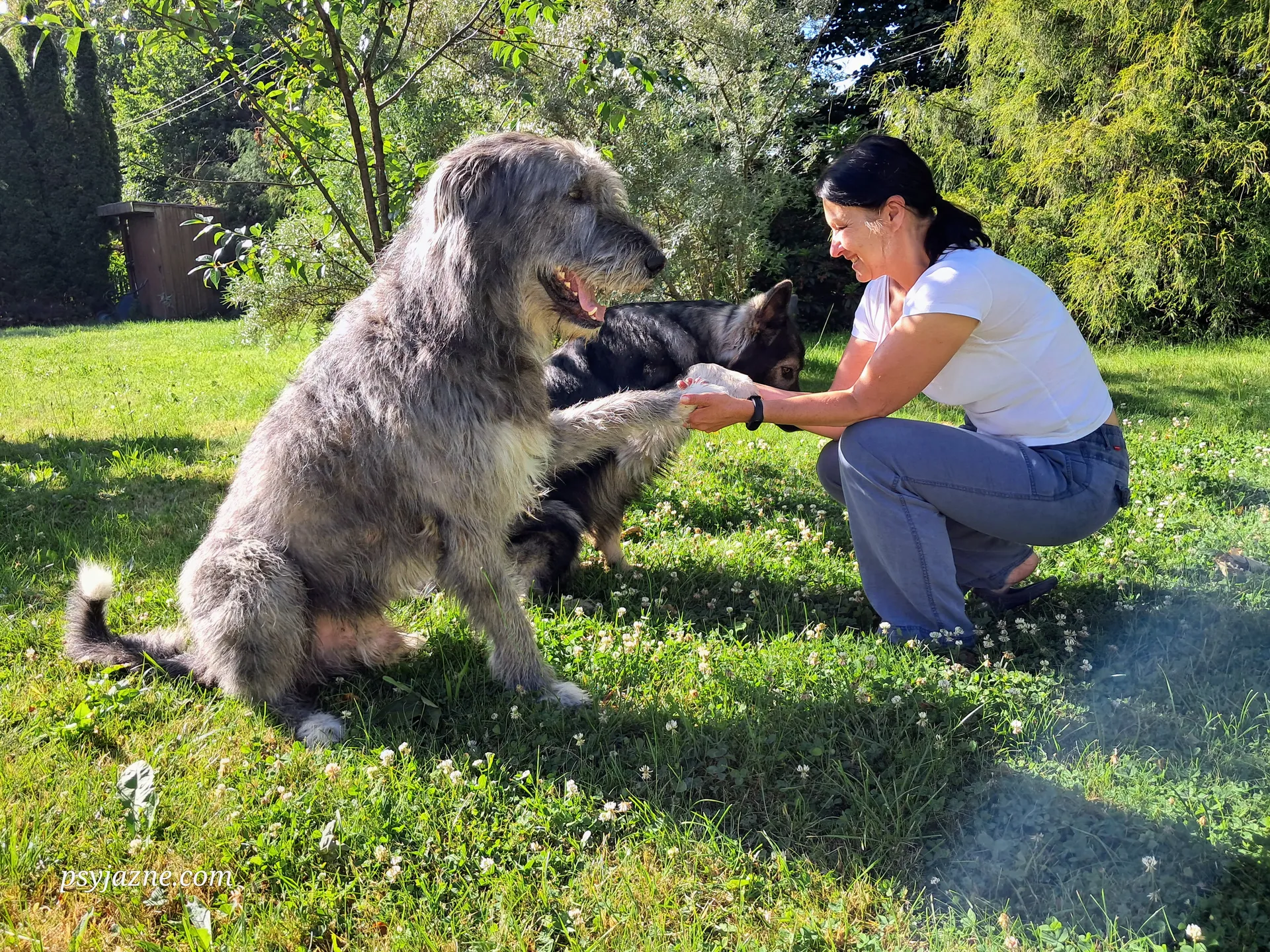 Hugo, Lucky i ja