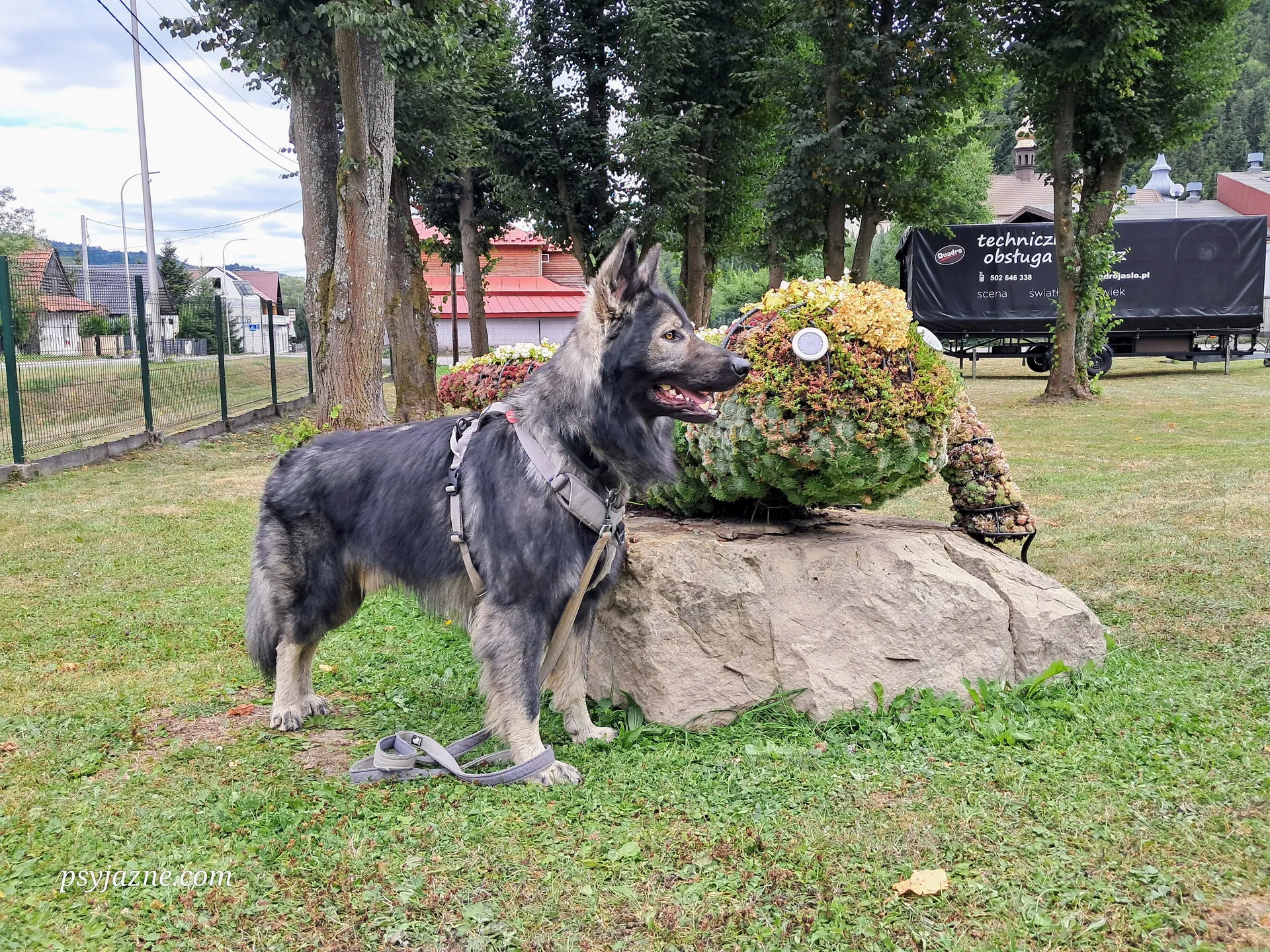 Psyjazne w Pijalni Wód Mineralnych w Szczawie