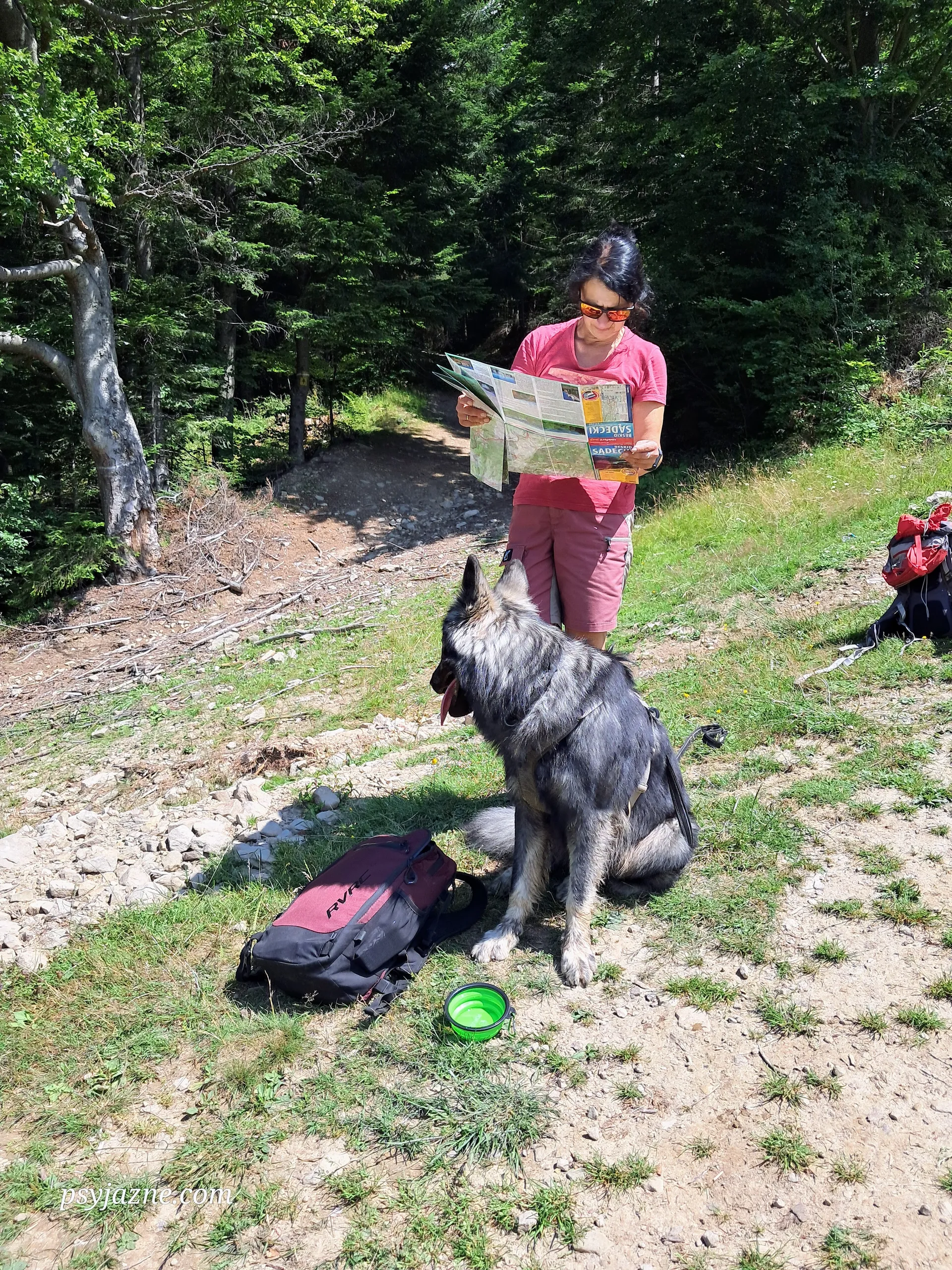 Psyjazne na szlaku, Beskid Sądecki