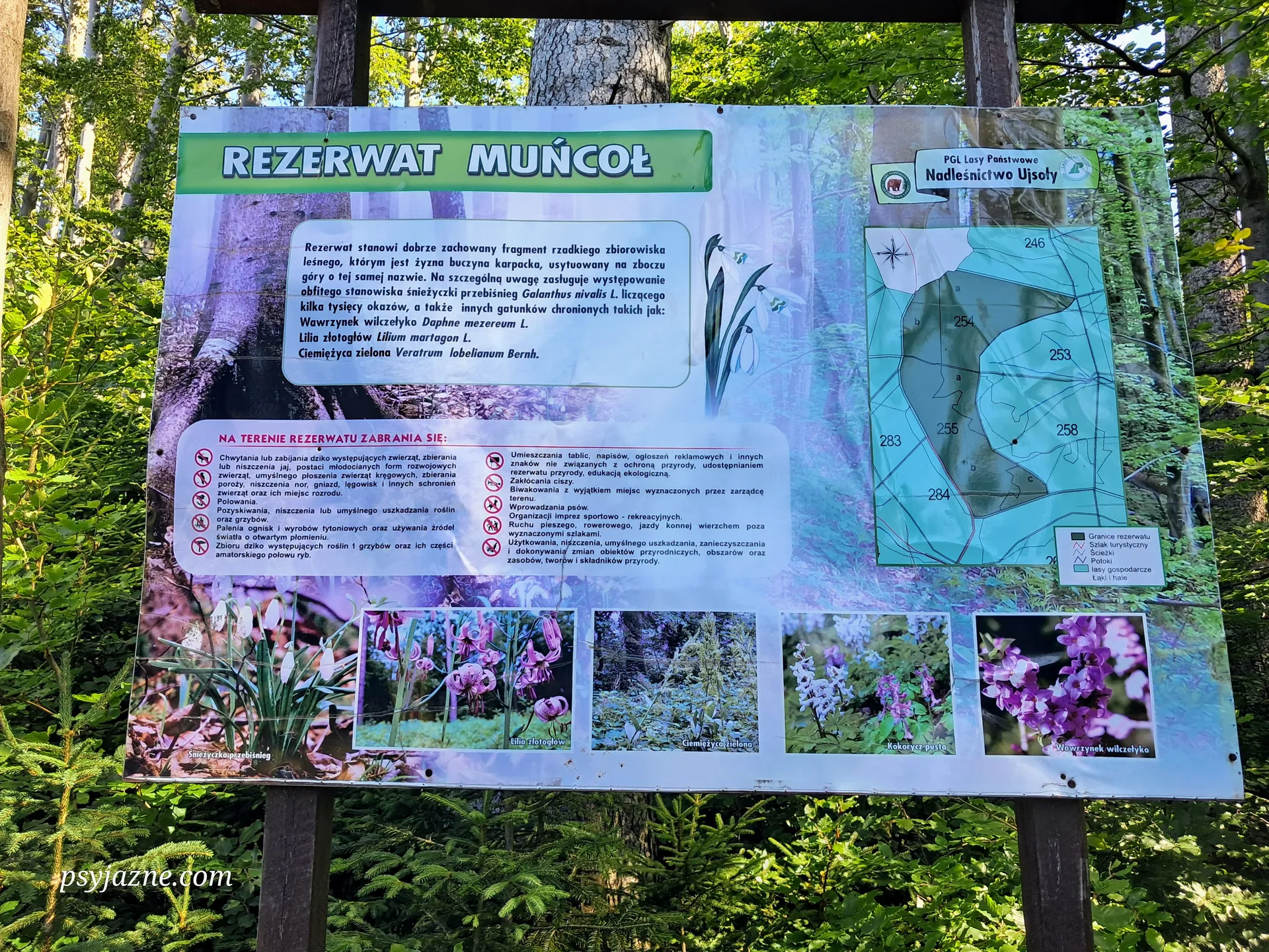 Rezerwat Muńcuł
