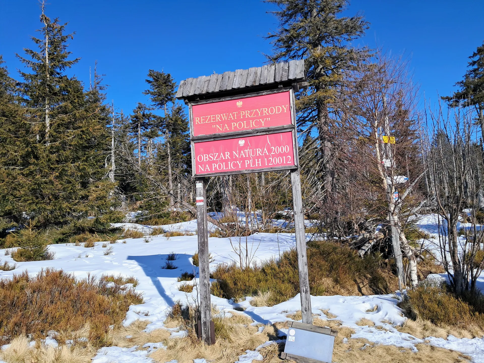 Rezerwat przyrody na Policy