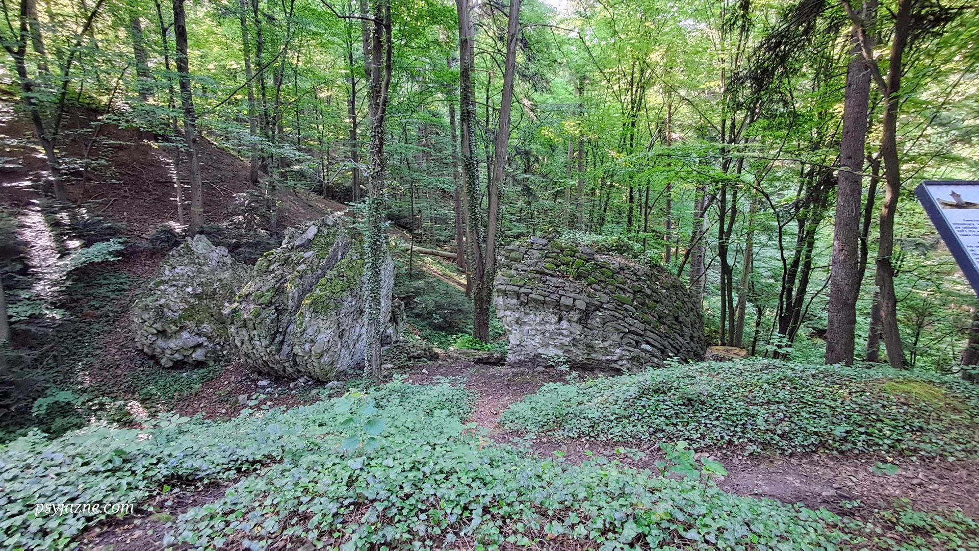 Rezerwat Zamczysko