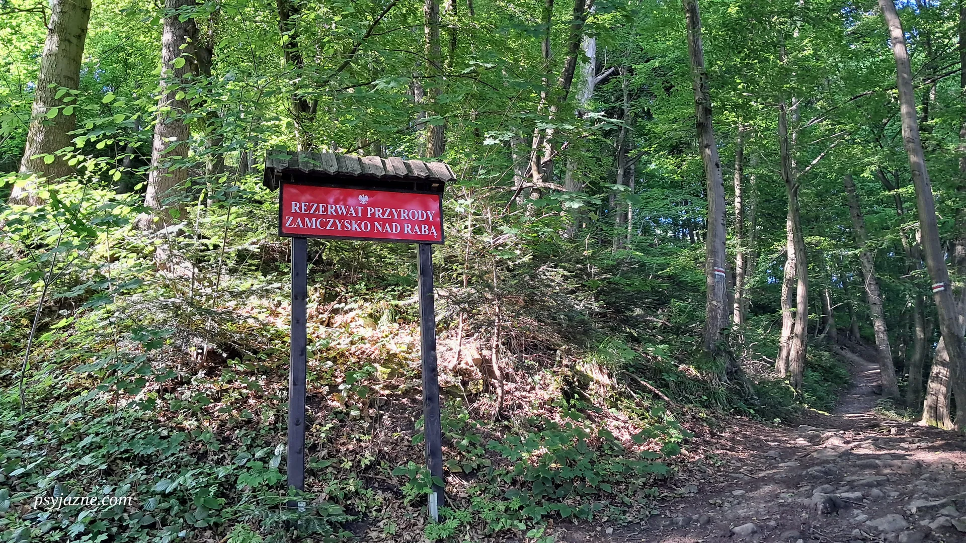Rezerwat Zamczysko