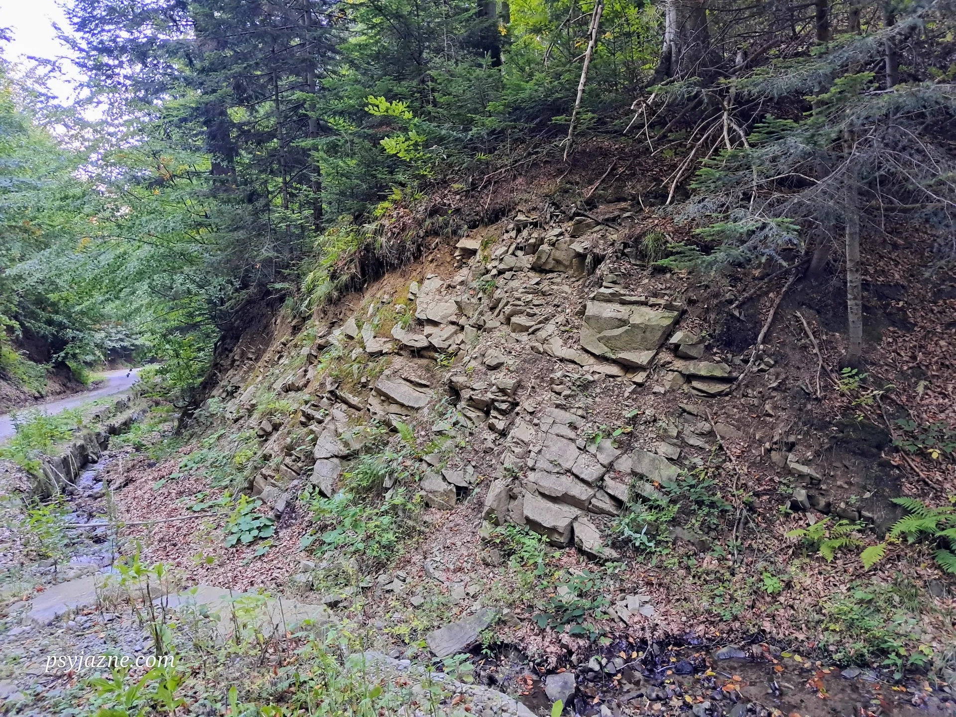 Rogasiowy Szlak