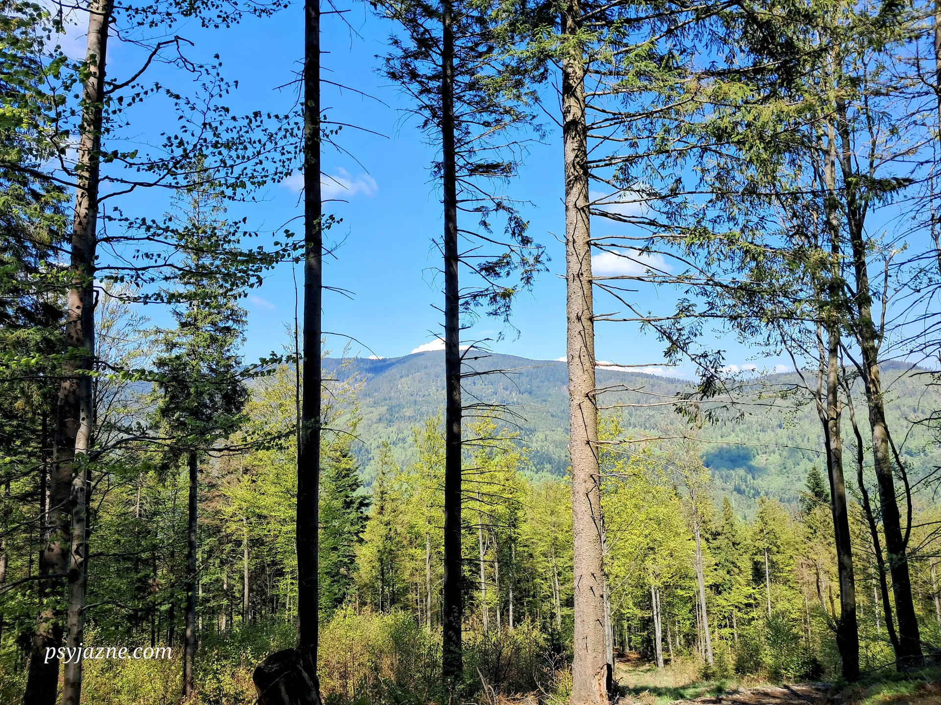 Widok na Romankę