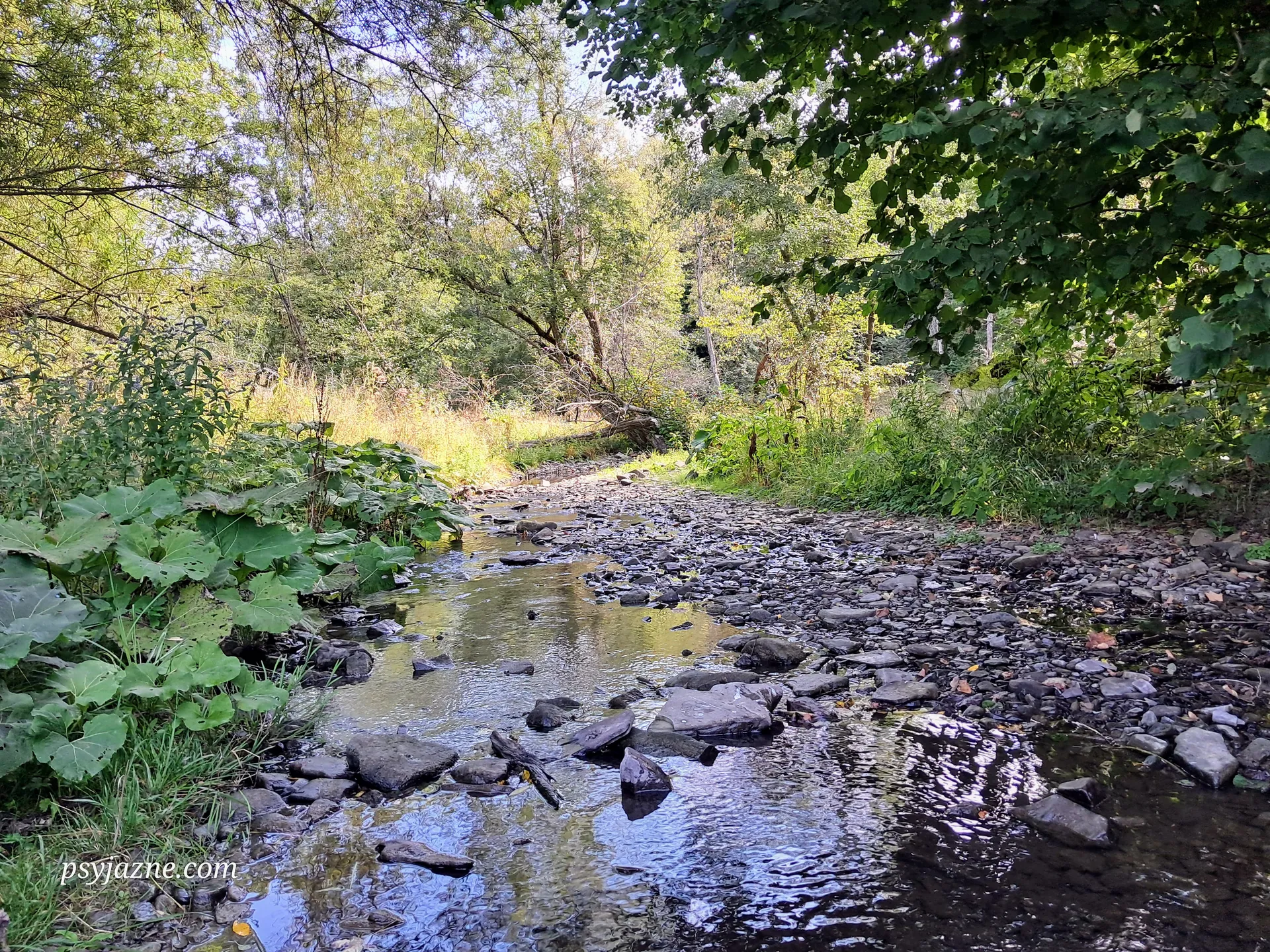 Ropska Woda