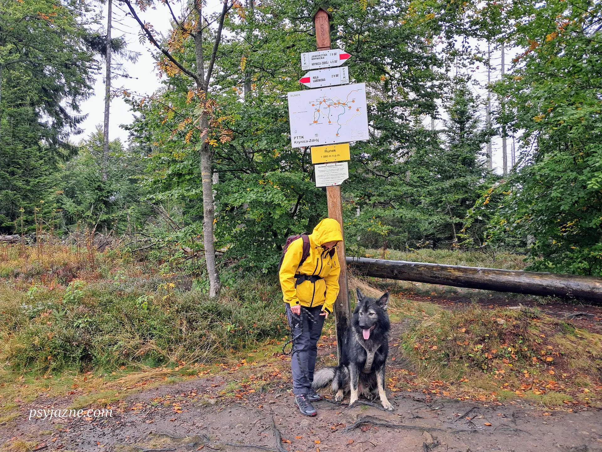 Runek, szczyt w Beskidzie Sądeckim