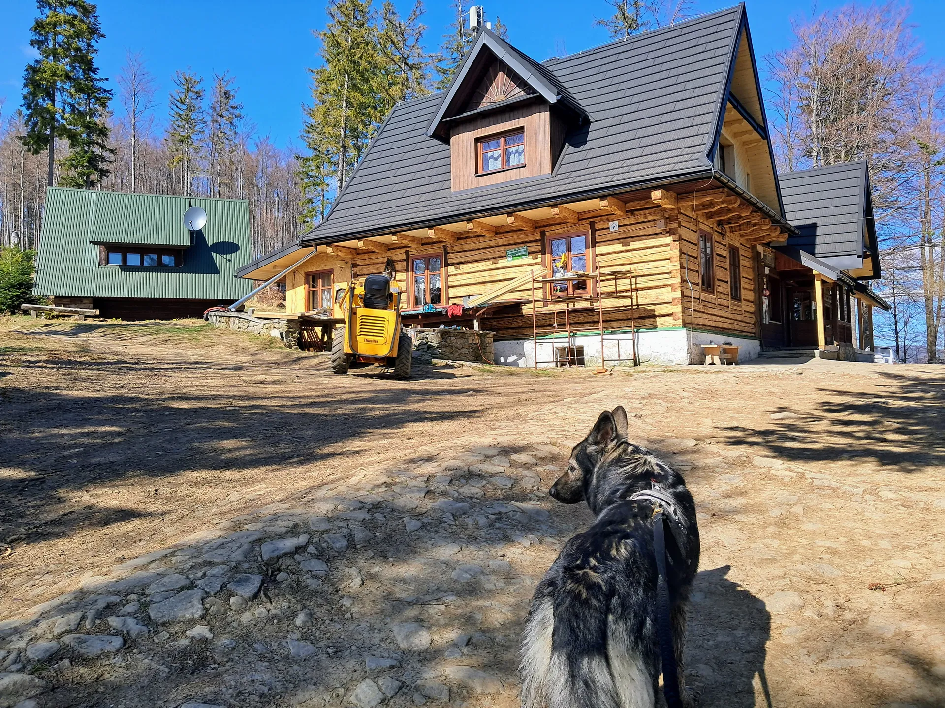 Schronisko na Przegibku z psem
