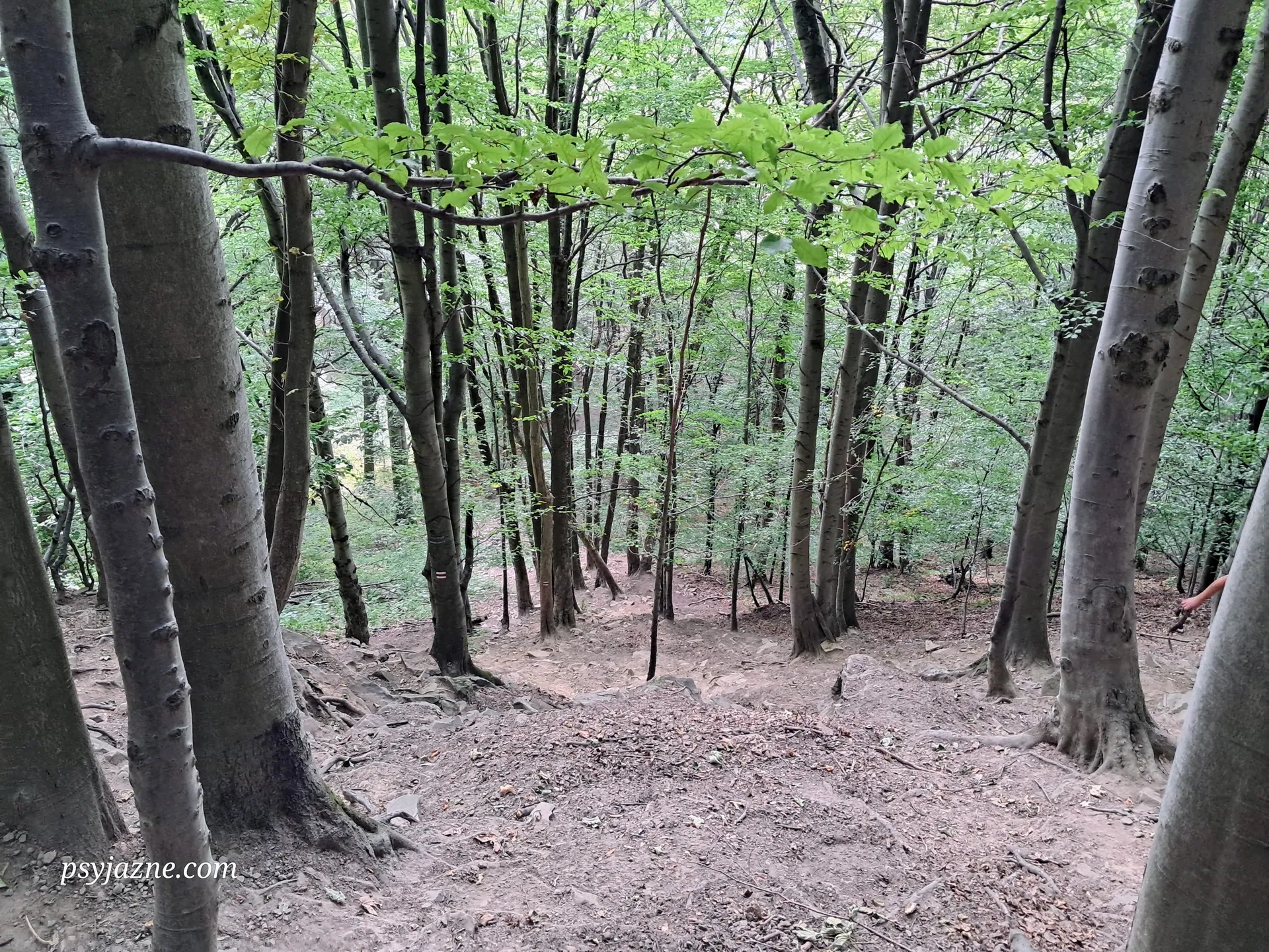 Ściana płaczu Lackowa
