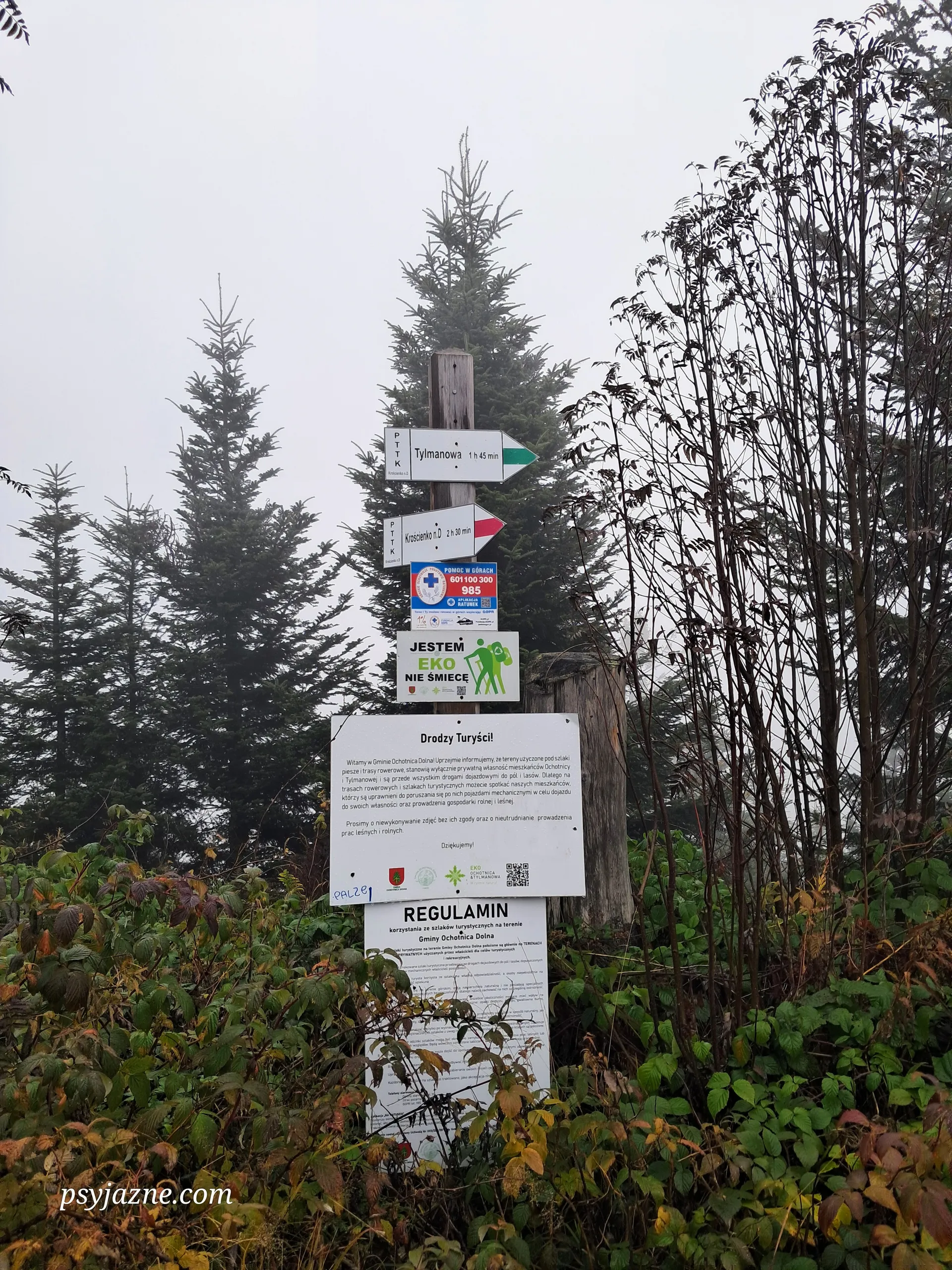 Skrzyżowanie szlaków