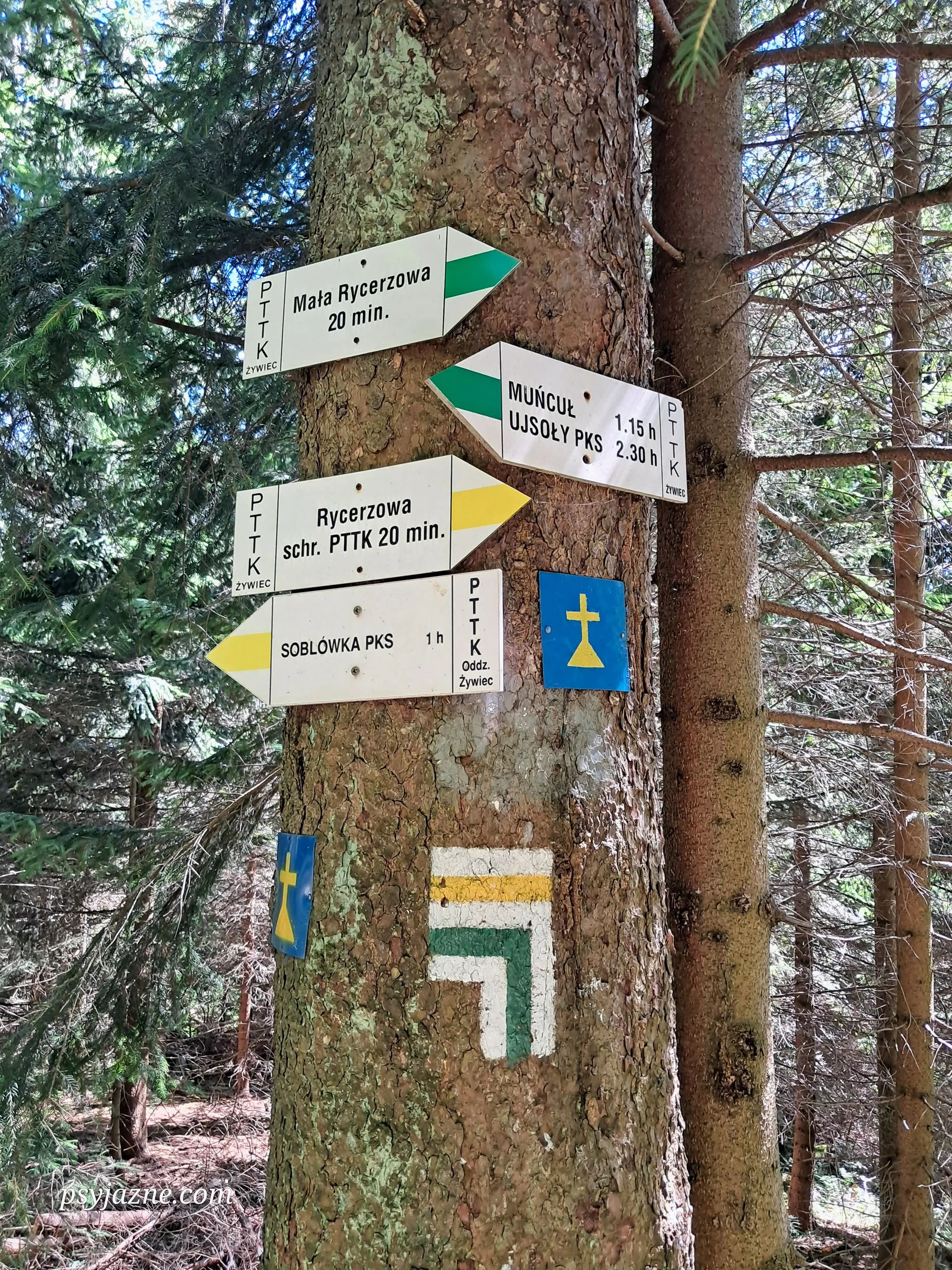 Skrzyżowanie szlaków