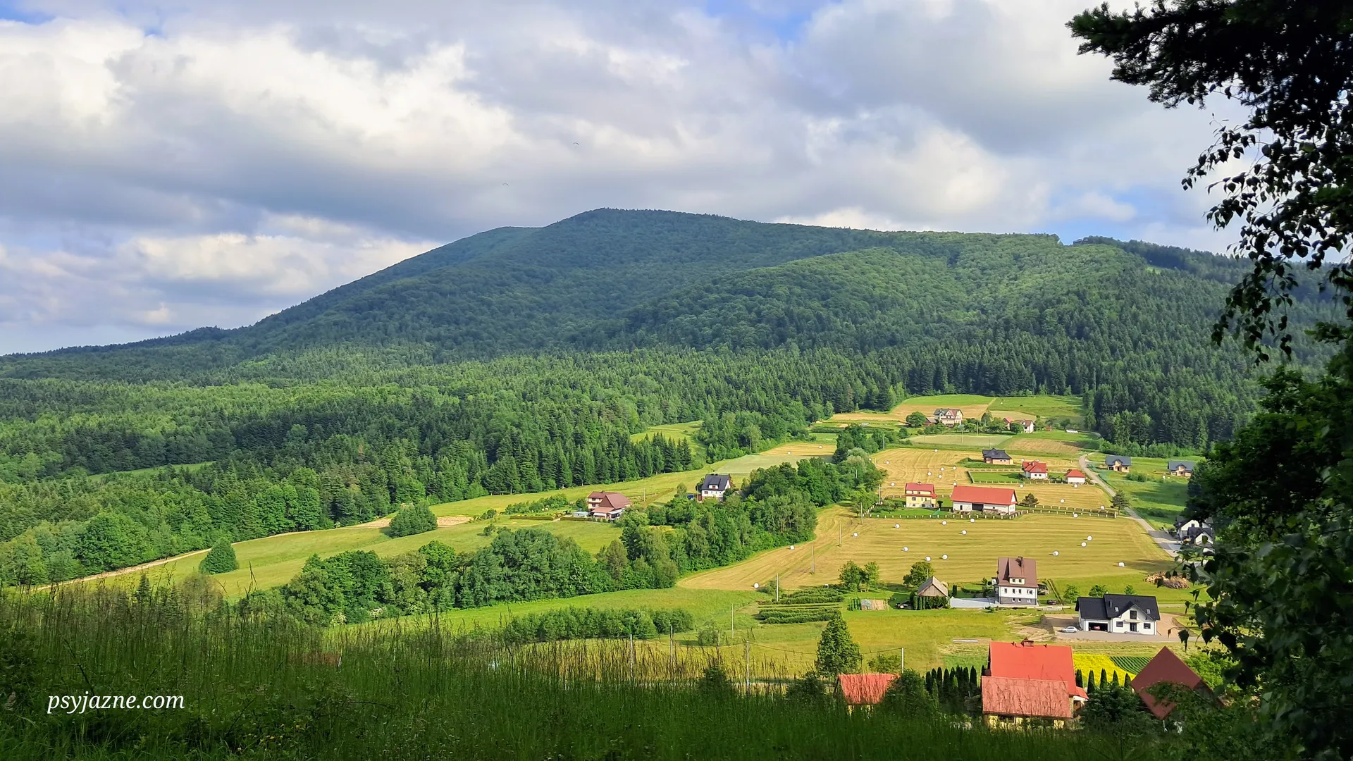 Widok na Śnieżnicę