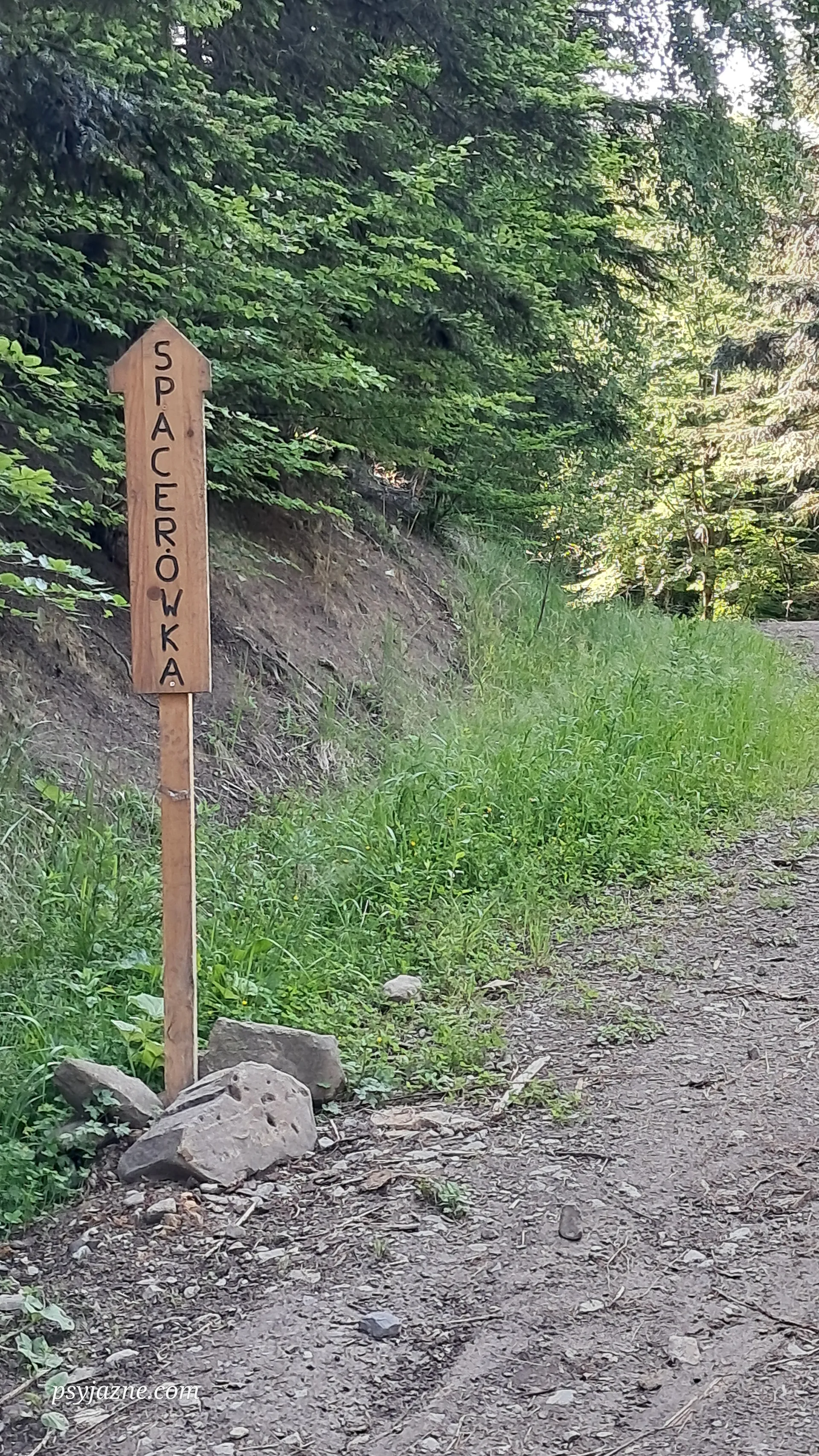 Spacerówka
