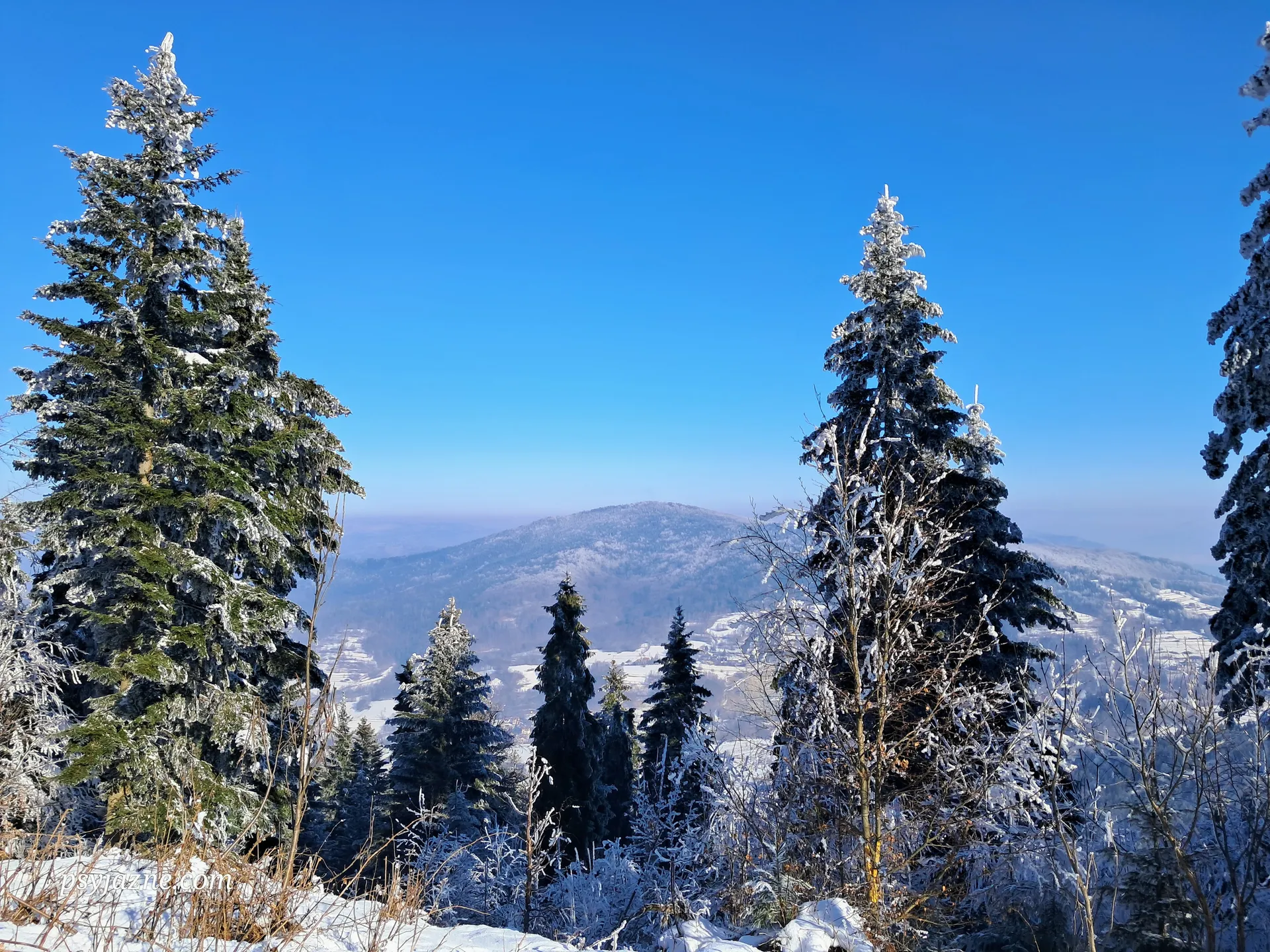 Widok na Szczebel