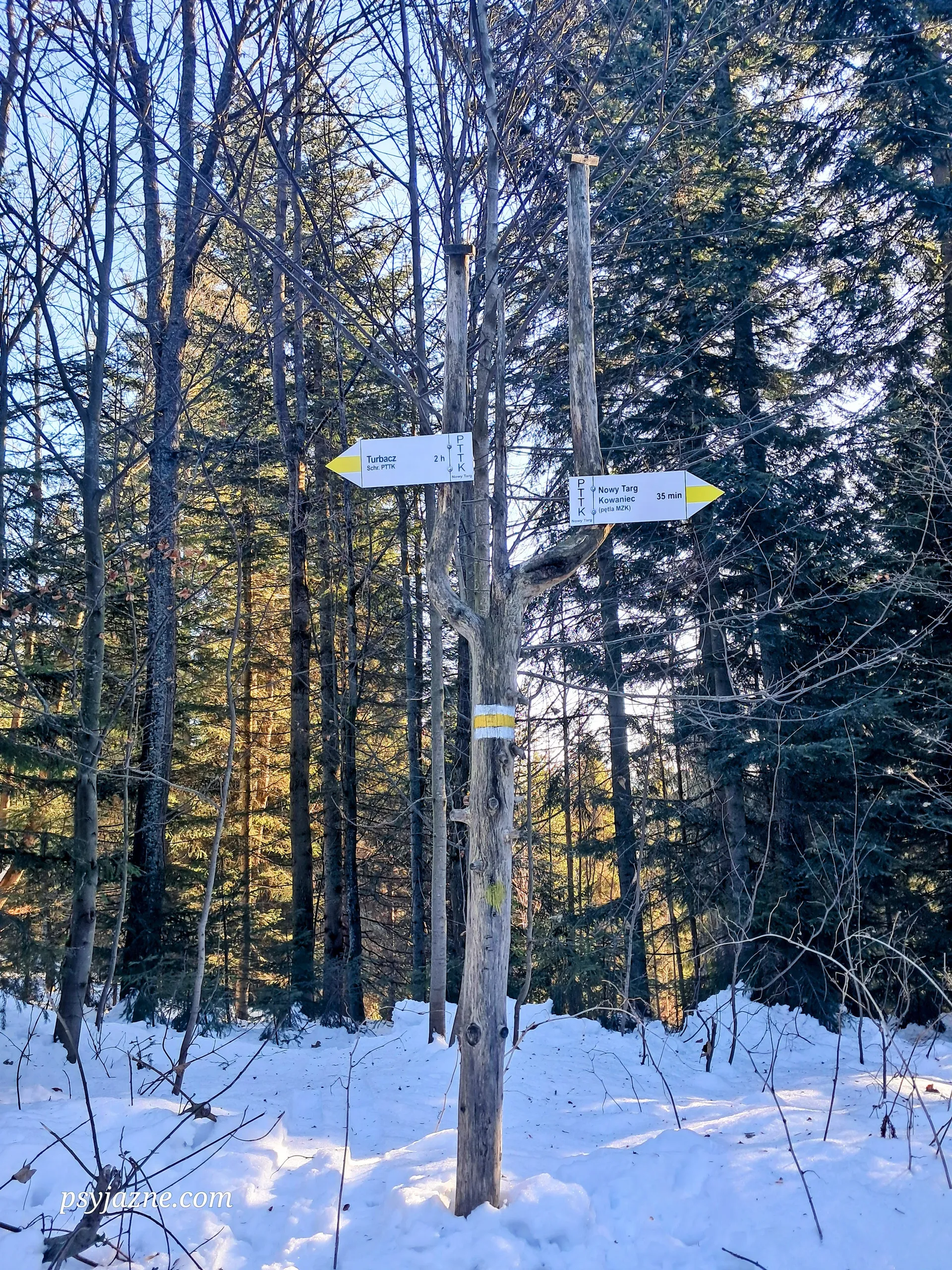 Szlak na Turbacz