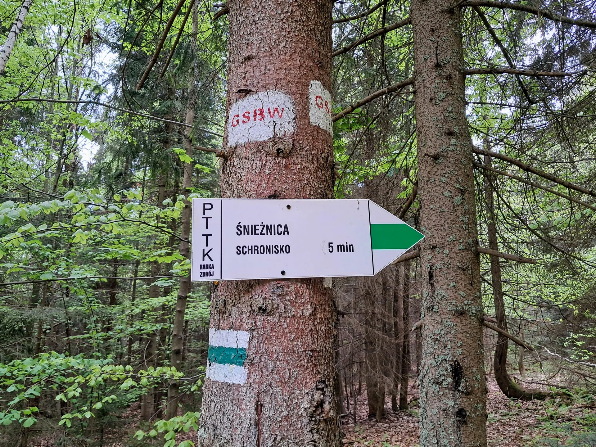 Szlak zielony