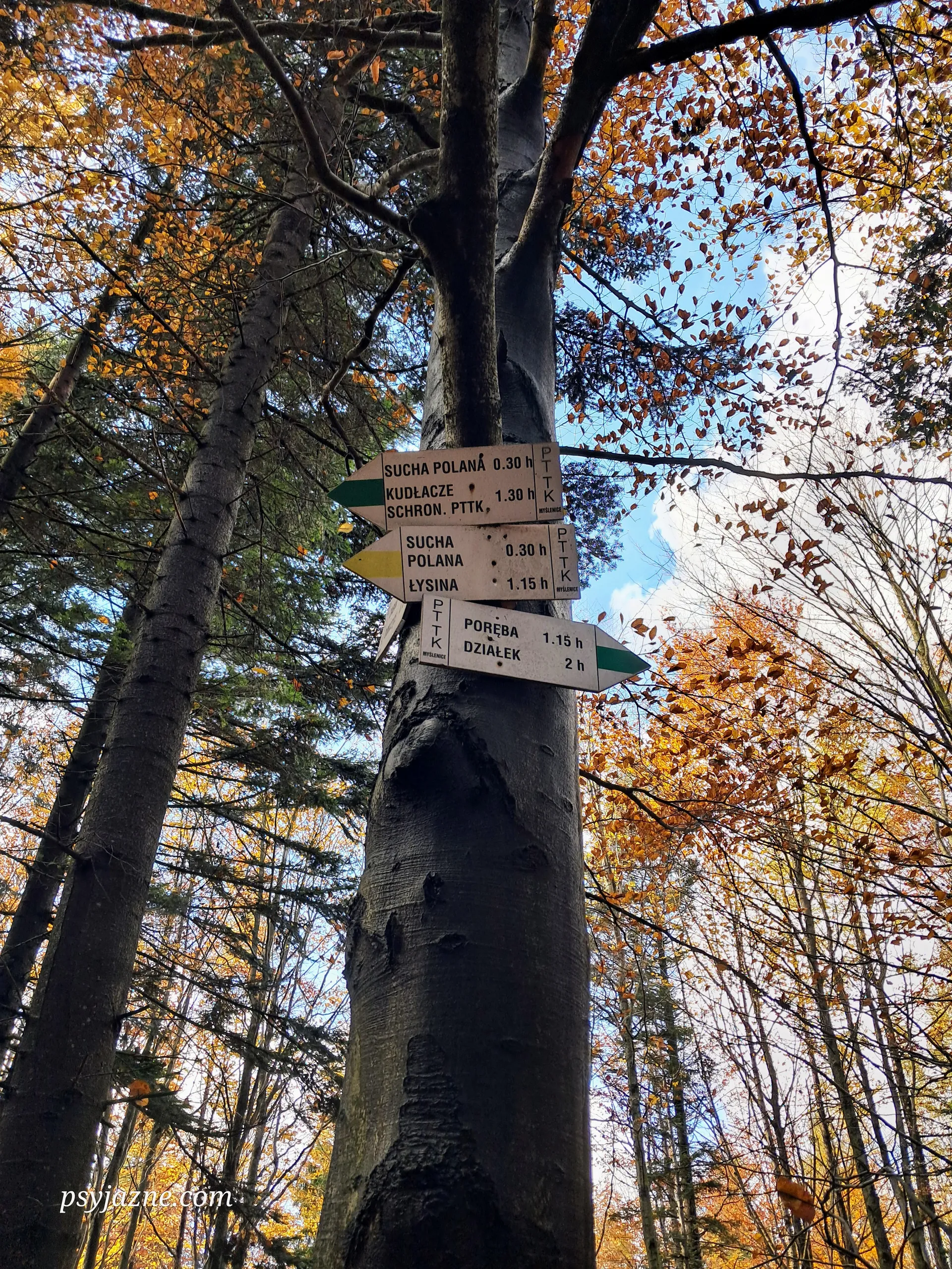 Szlaki Beskidu Wyspowego
